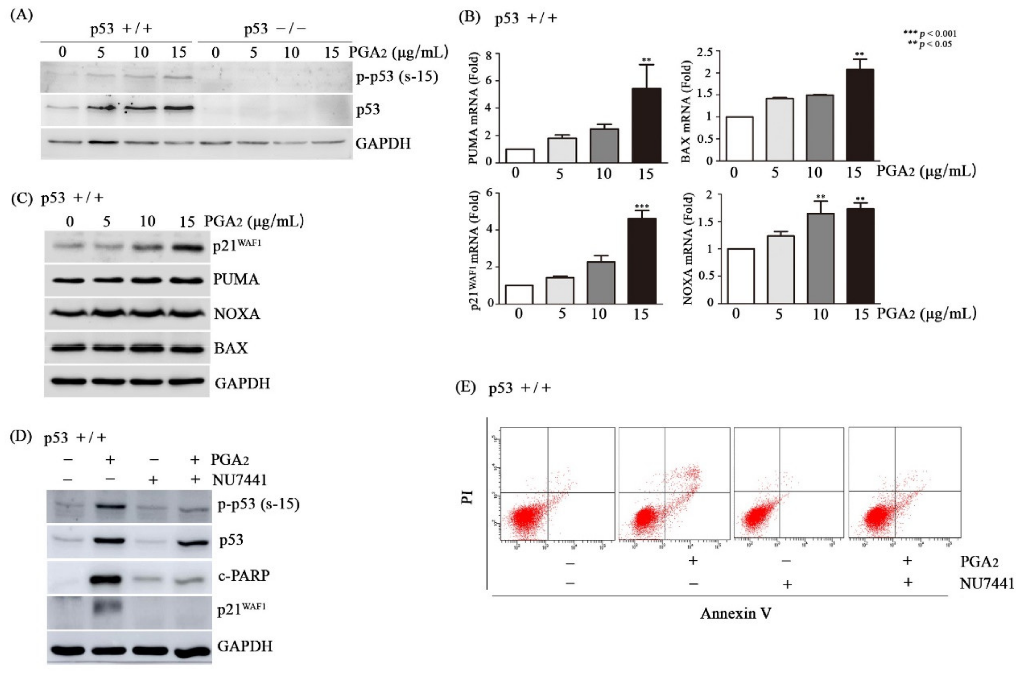 Biomolecules 10 00492 g002 Biomolecules 10 00492 g002