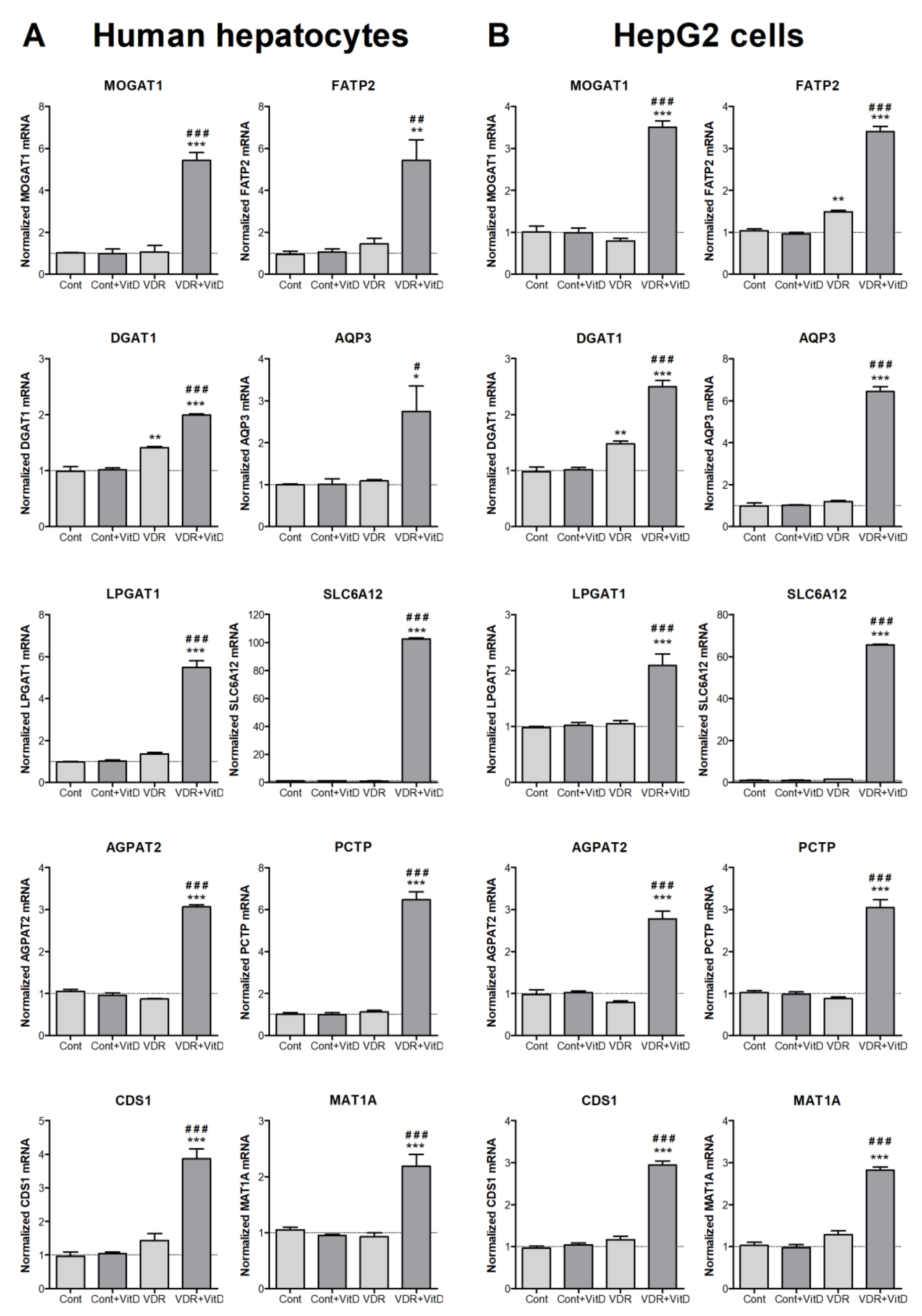 Biomolecules 10 00493 g002