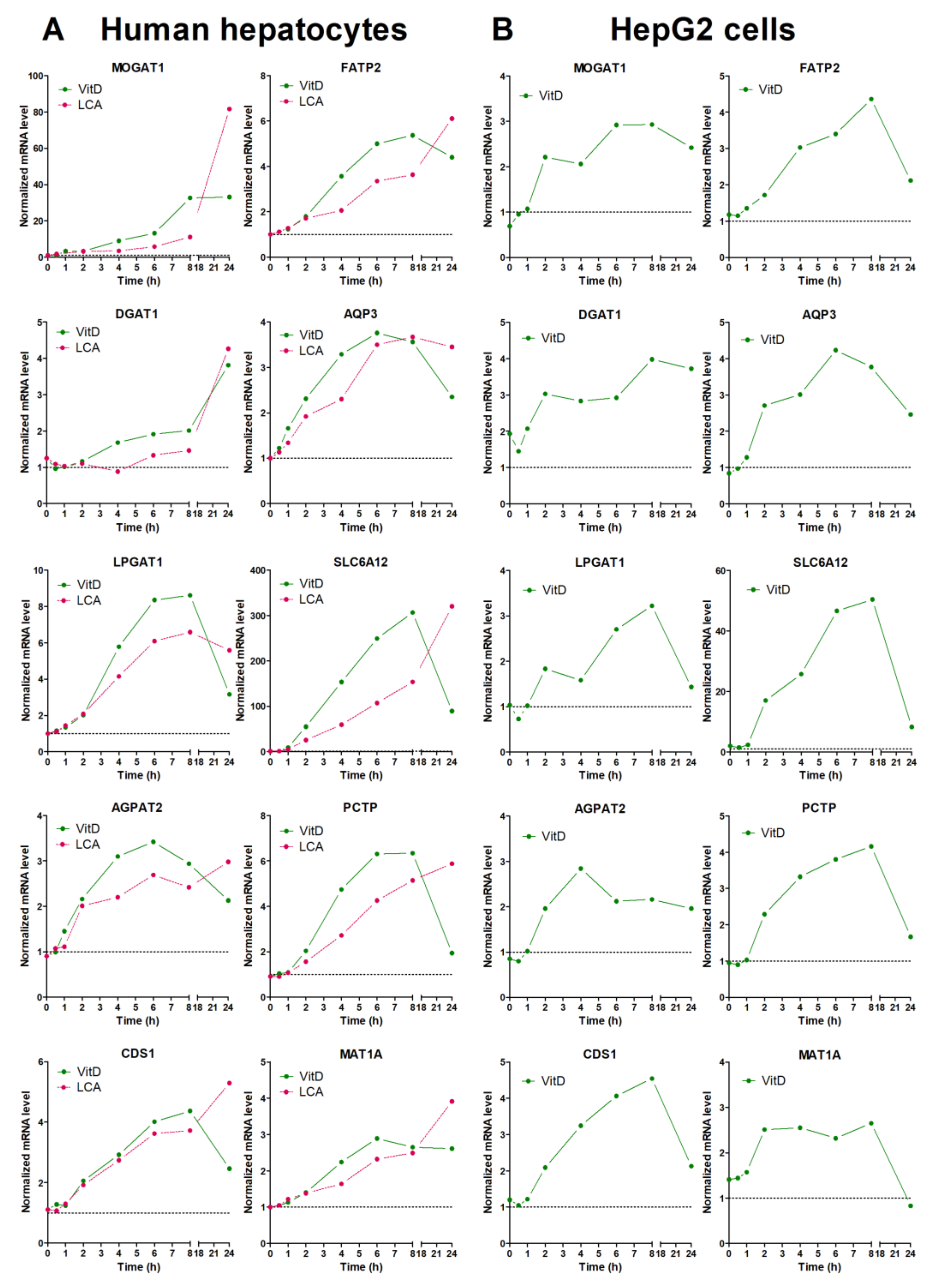 Biomolecules 10 00493 g003