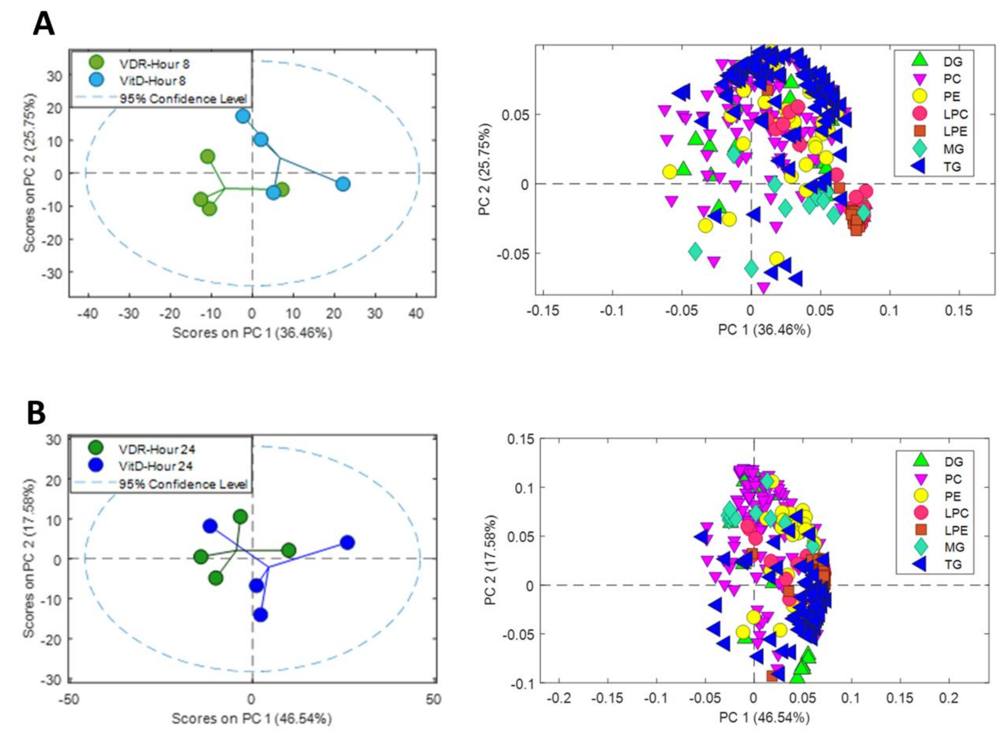 Biomolecules 10 00493 g005