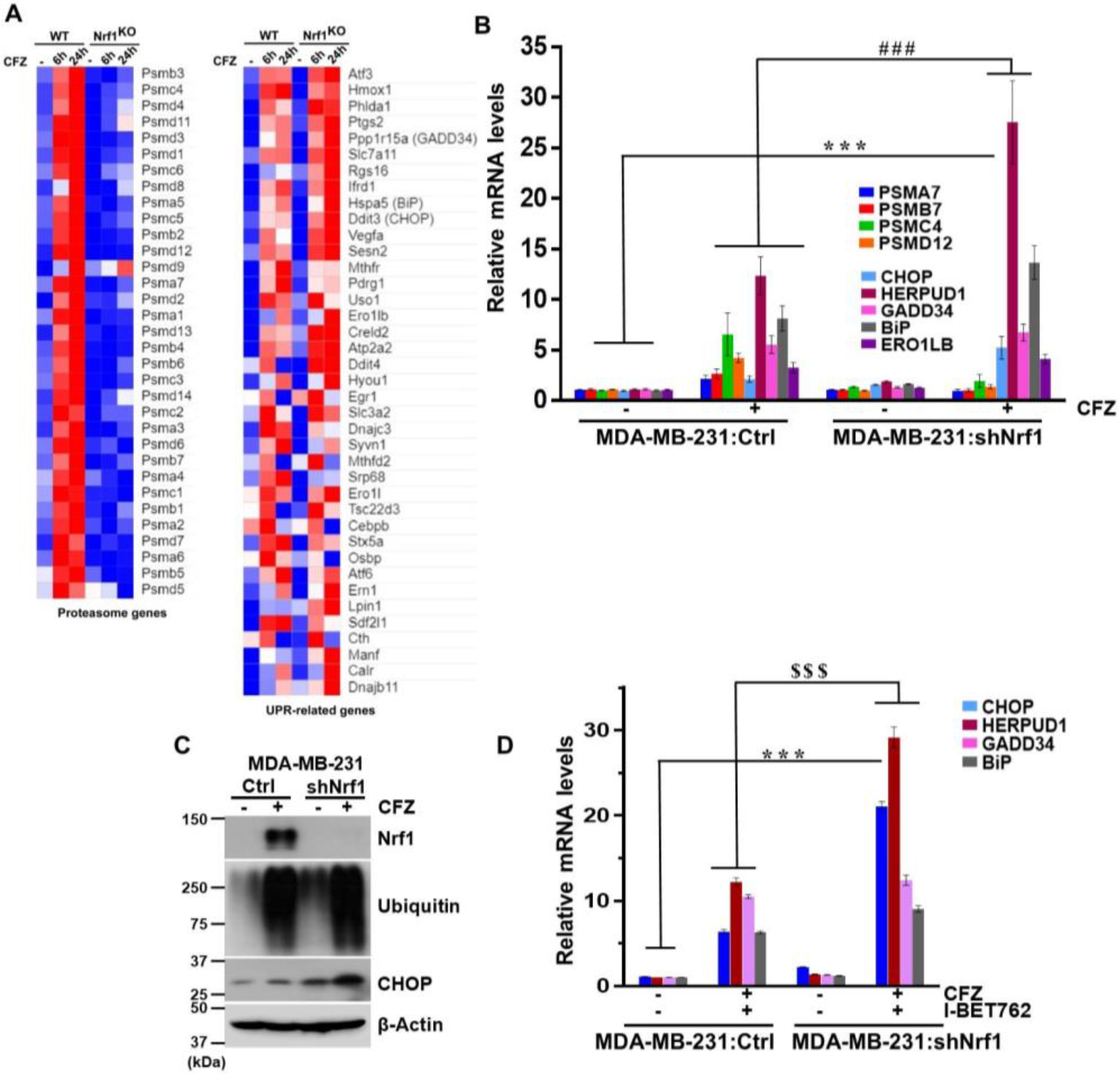Biomolecules 10 00501 g004