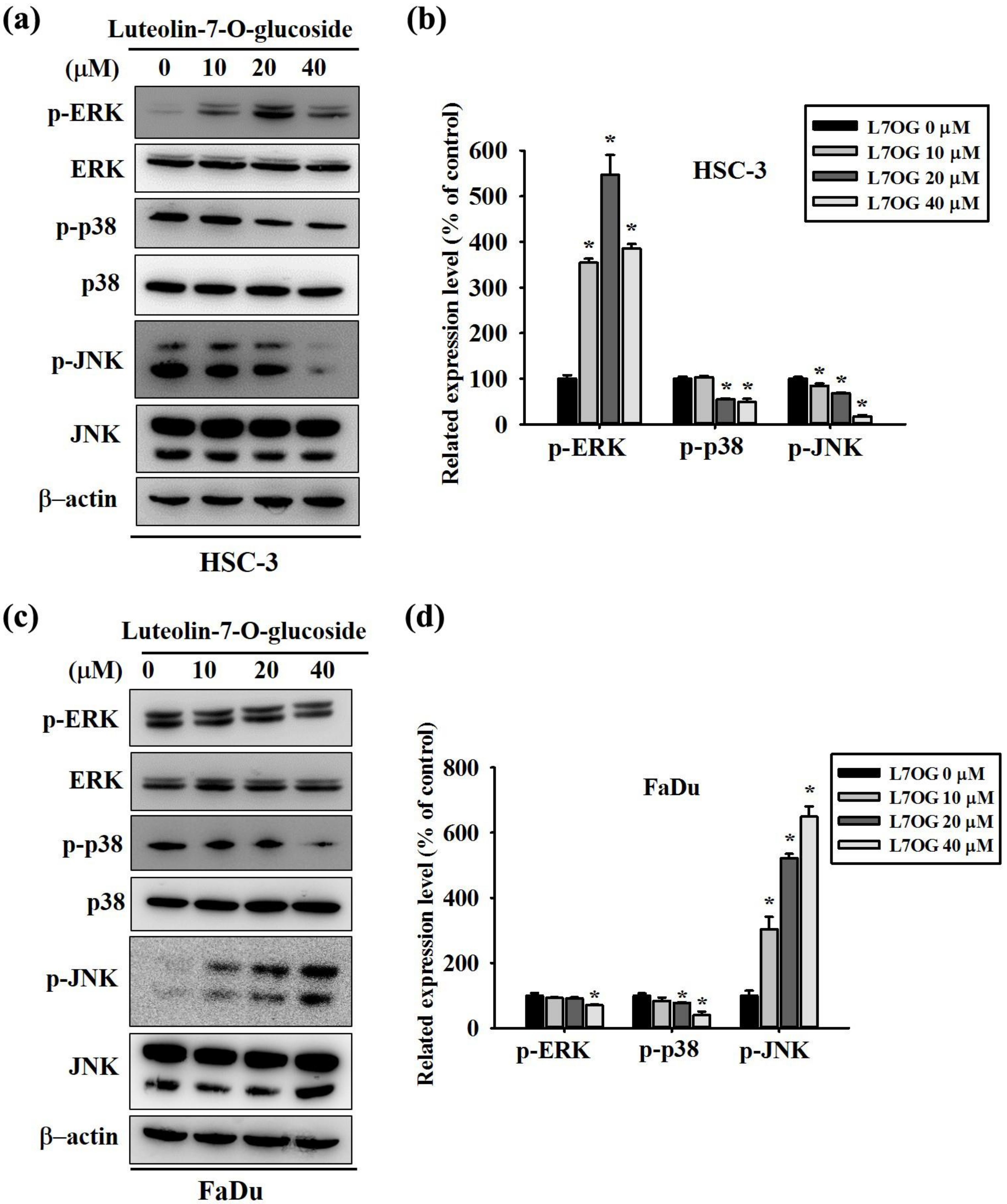 Biomolecules 10 00502 g005 Biomolecules 10 00502 g005
