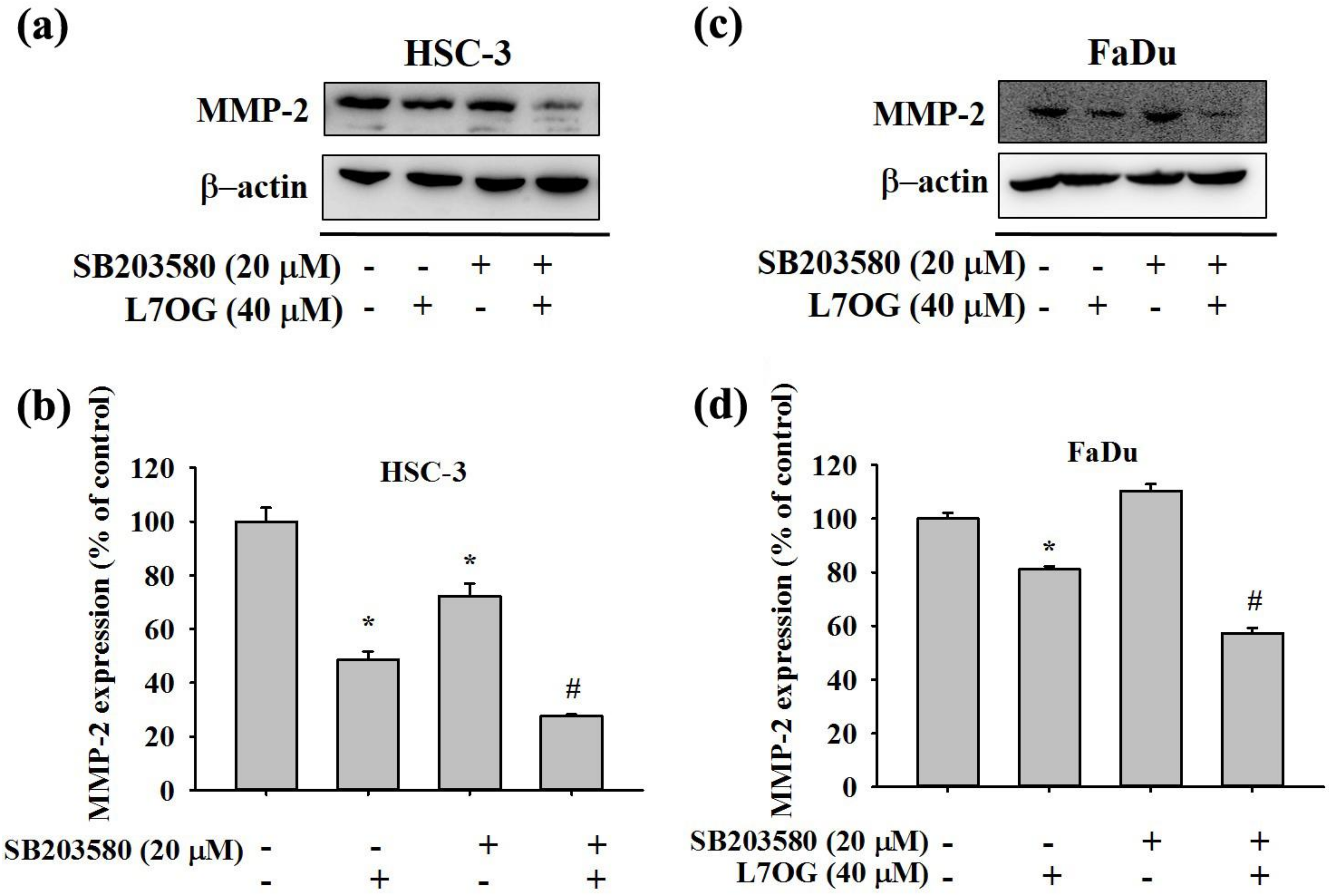 Biomolecules 10 00502 g006 Biomolecules 10 00502 g006