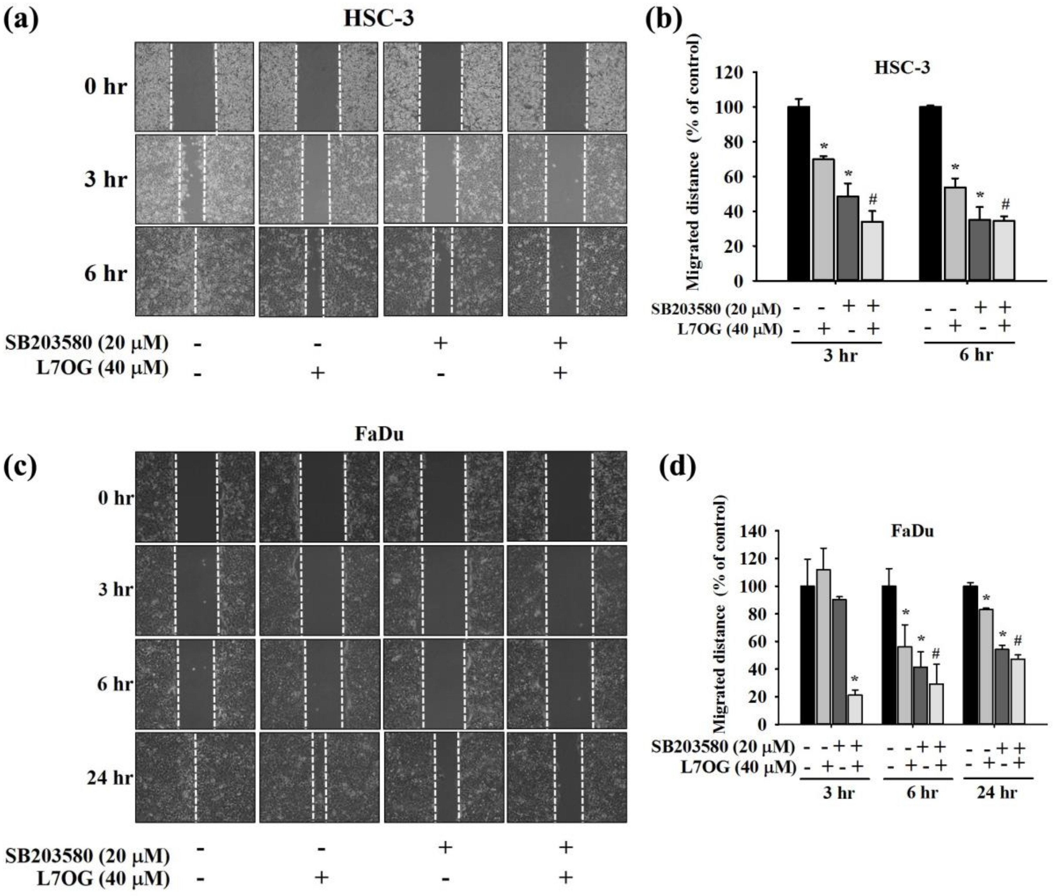 Biomolecules 10 00502 g007 Biomolecules 10 00502 g007