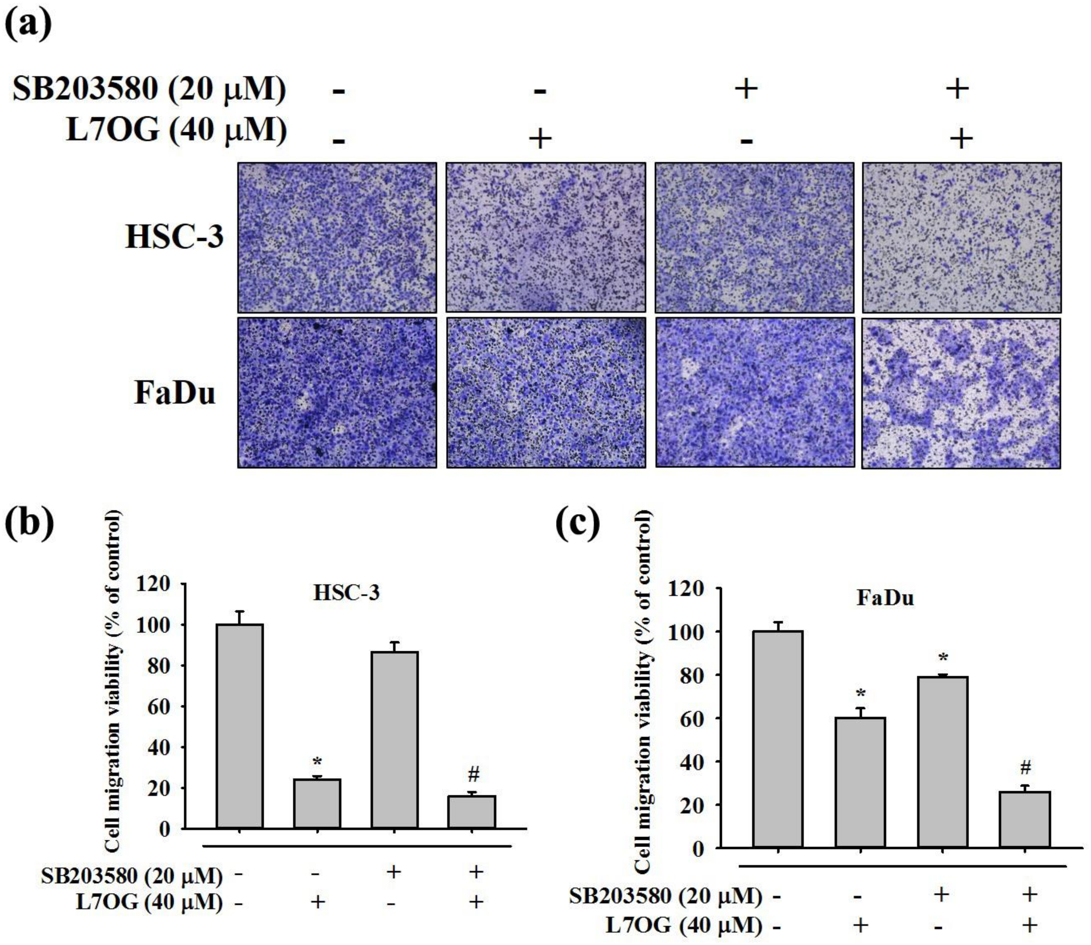 Biomolecules 10 00502 g008 Biomolecules 10 00502 g008