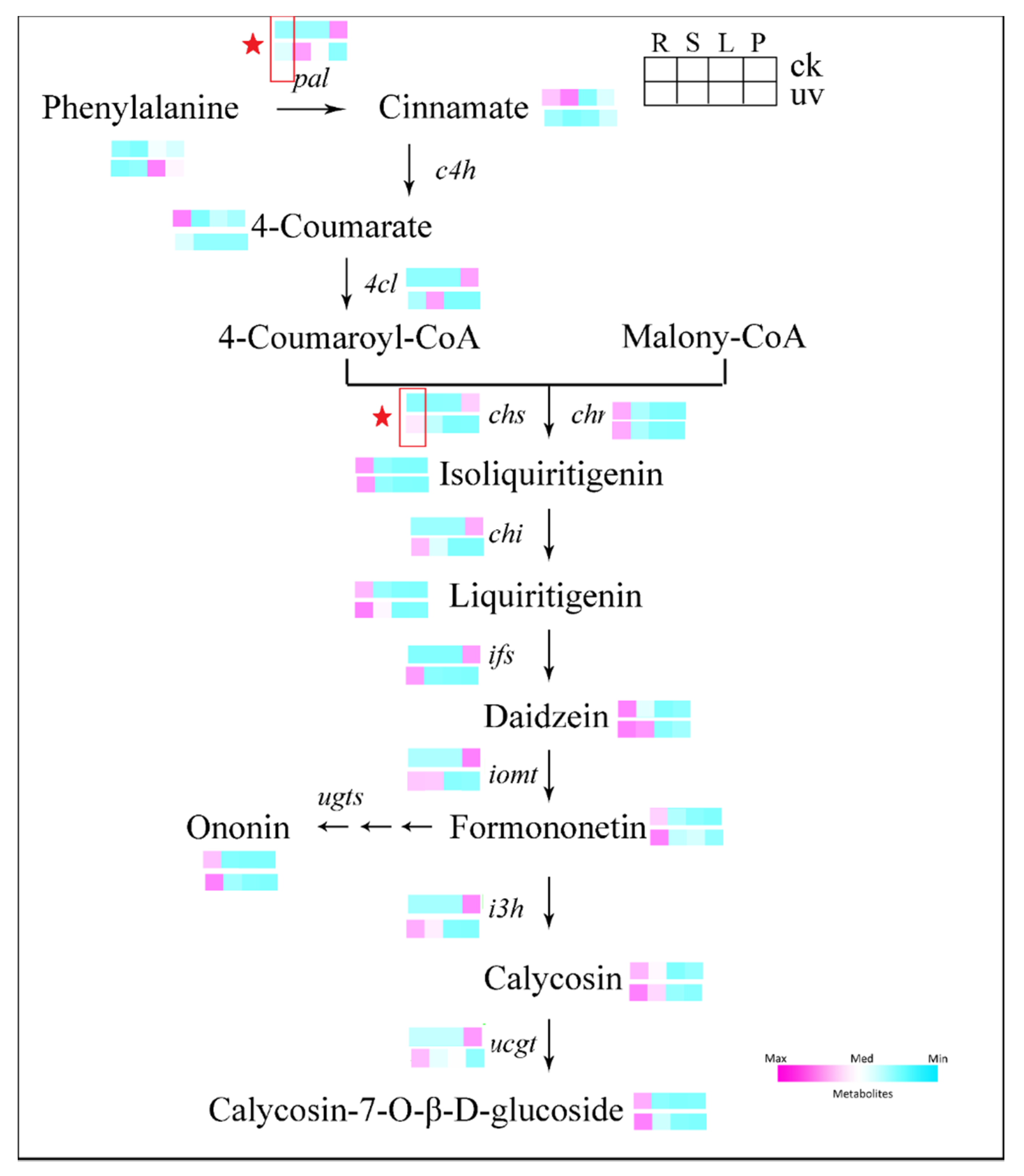 Biomolecules 10 00504 g006