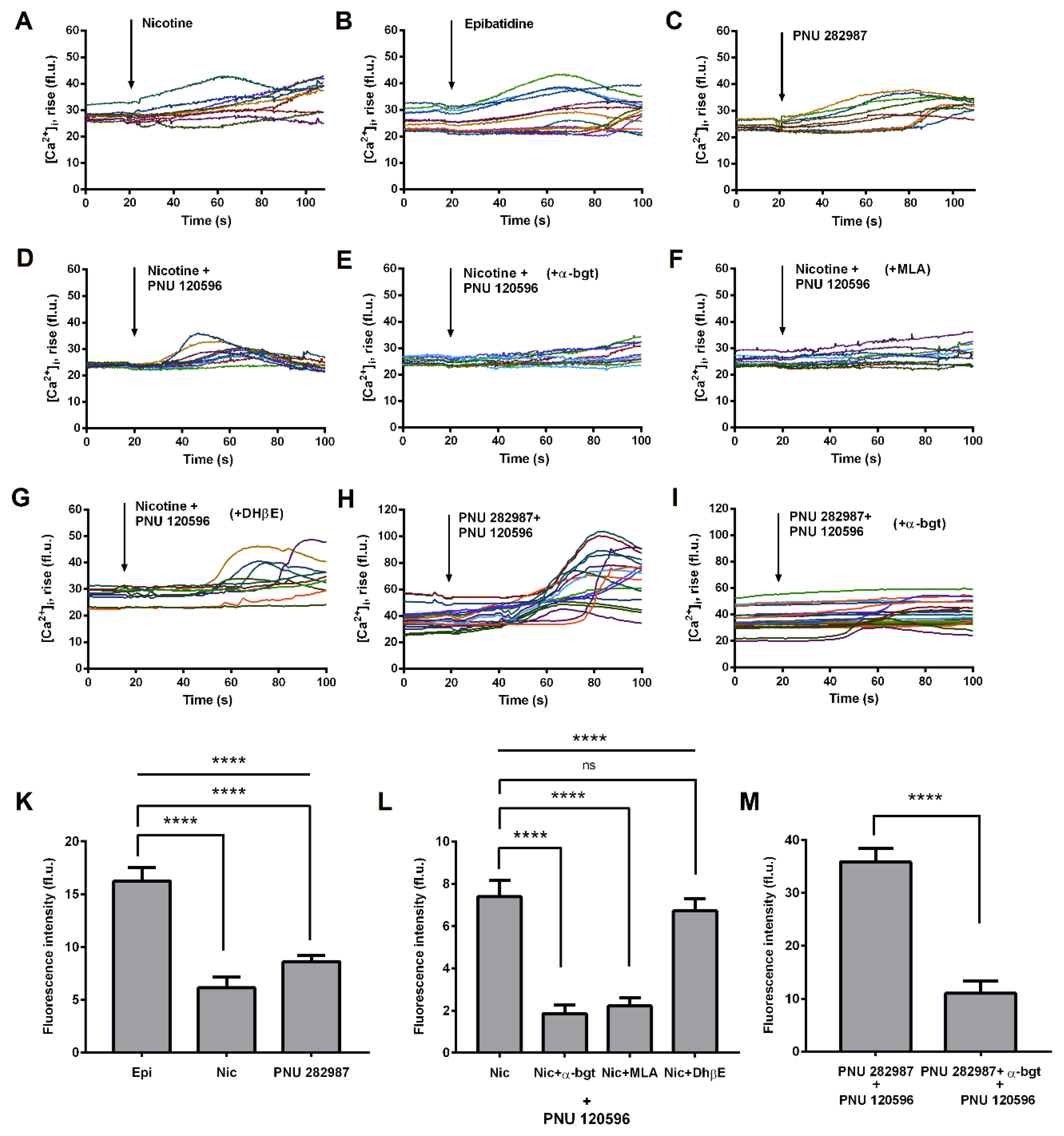 Biomolecules 10 00507 g003 Biomolecules 10 00507 g003