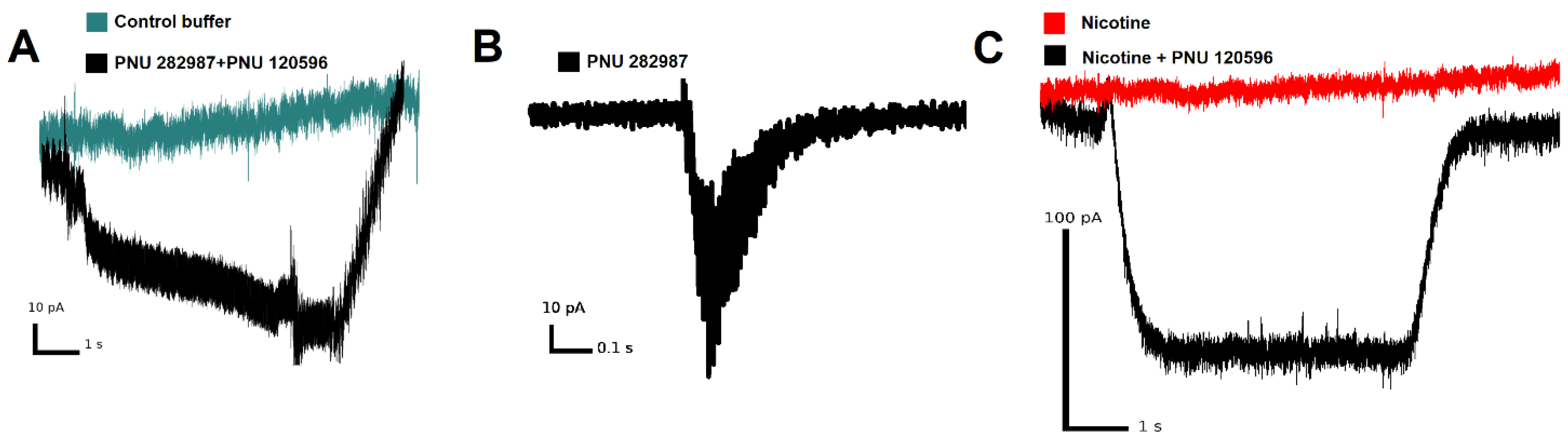 Biomolecules 10 00507 g004 Biomolecules 10 00507 g004