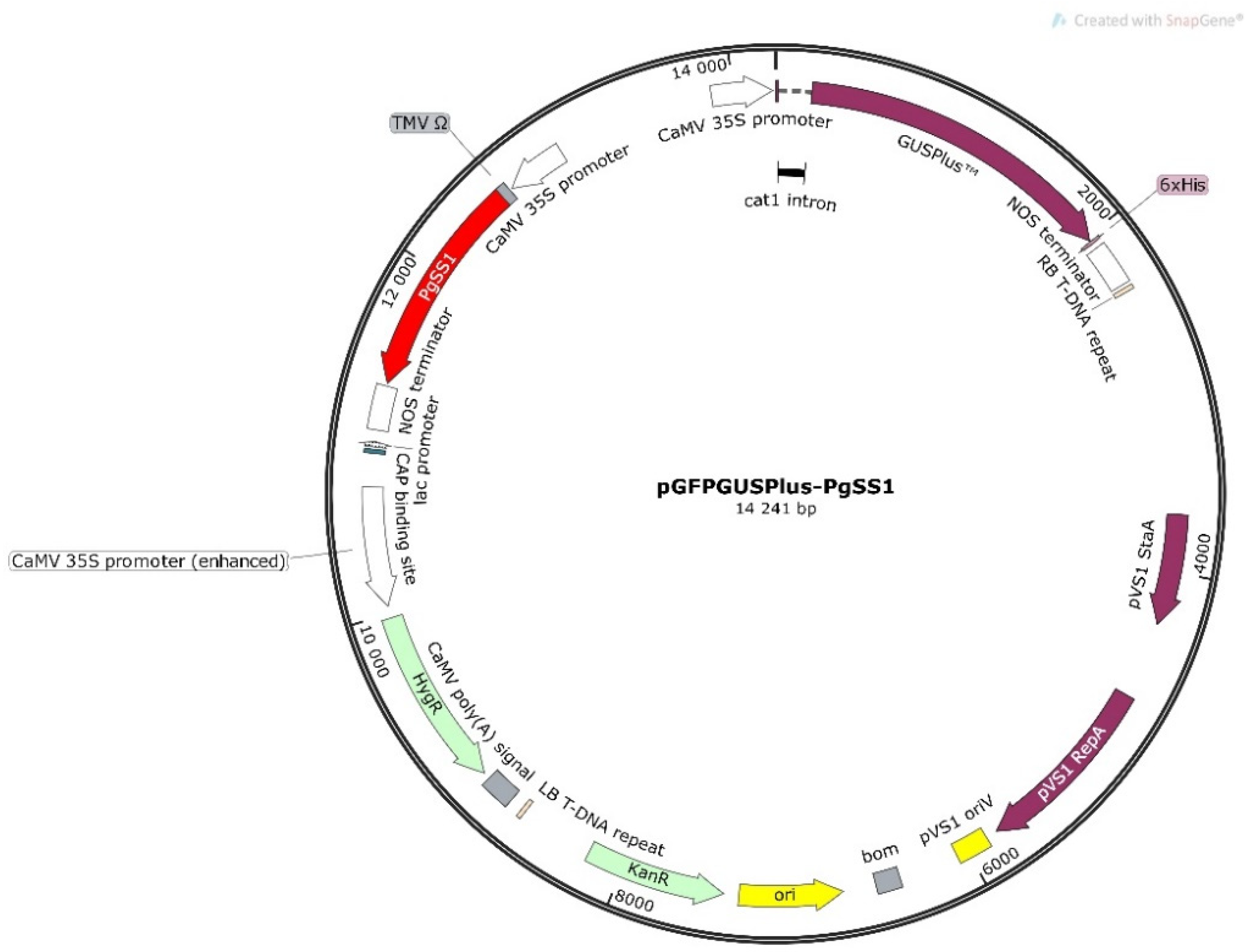 Biomolecules 10 00510 g001 Biomolecules 10 00510 g001