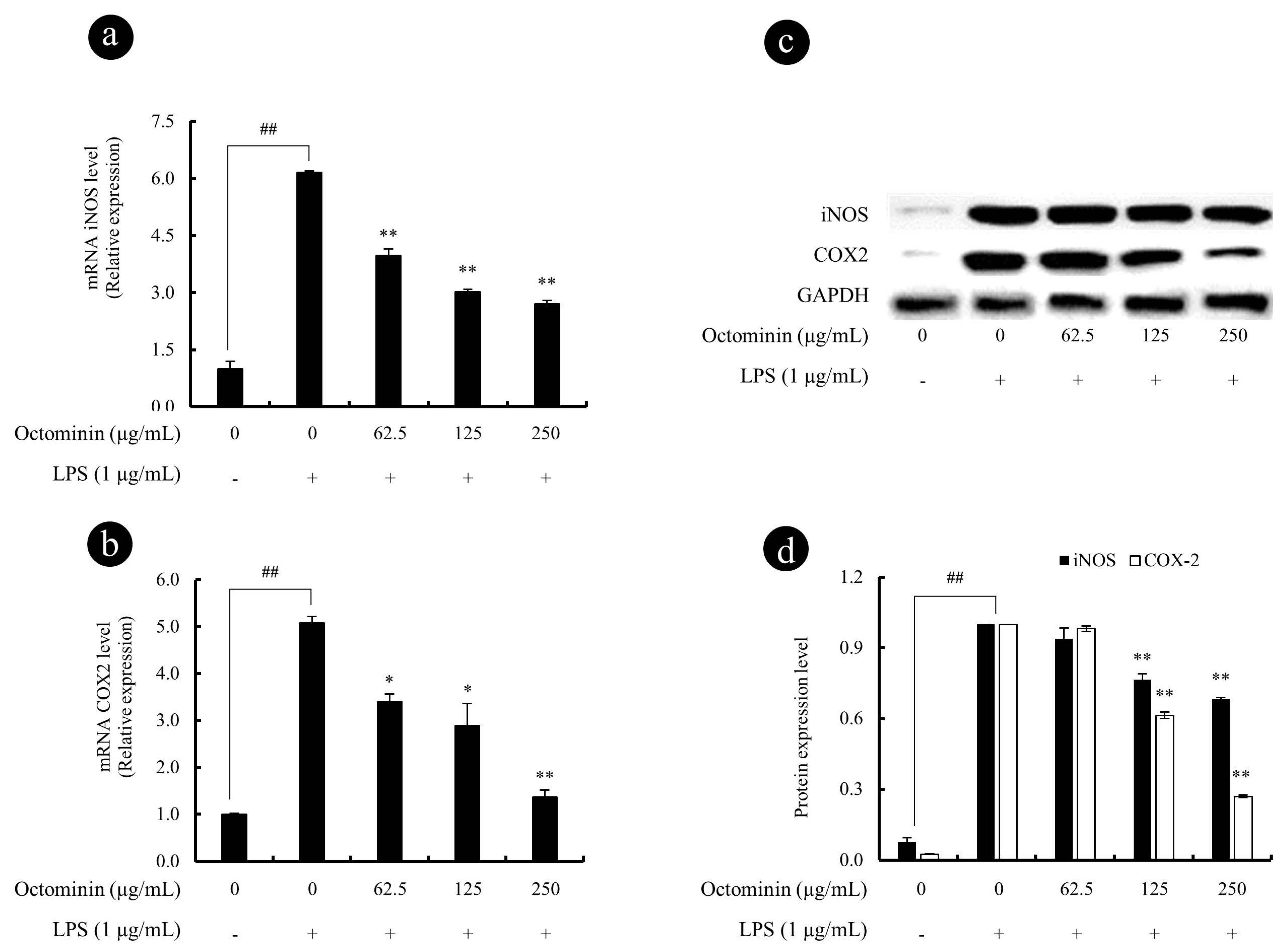 Biomolecules 10 00511 g005 Biomolecules 10 00511 g005