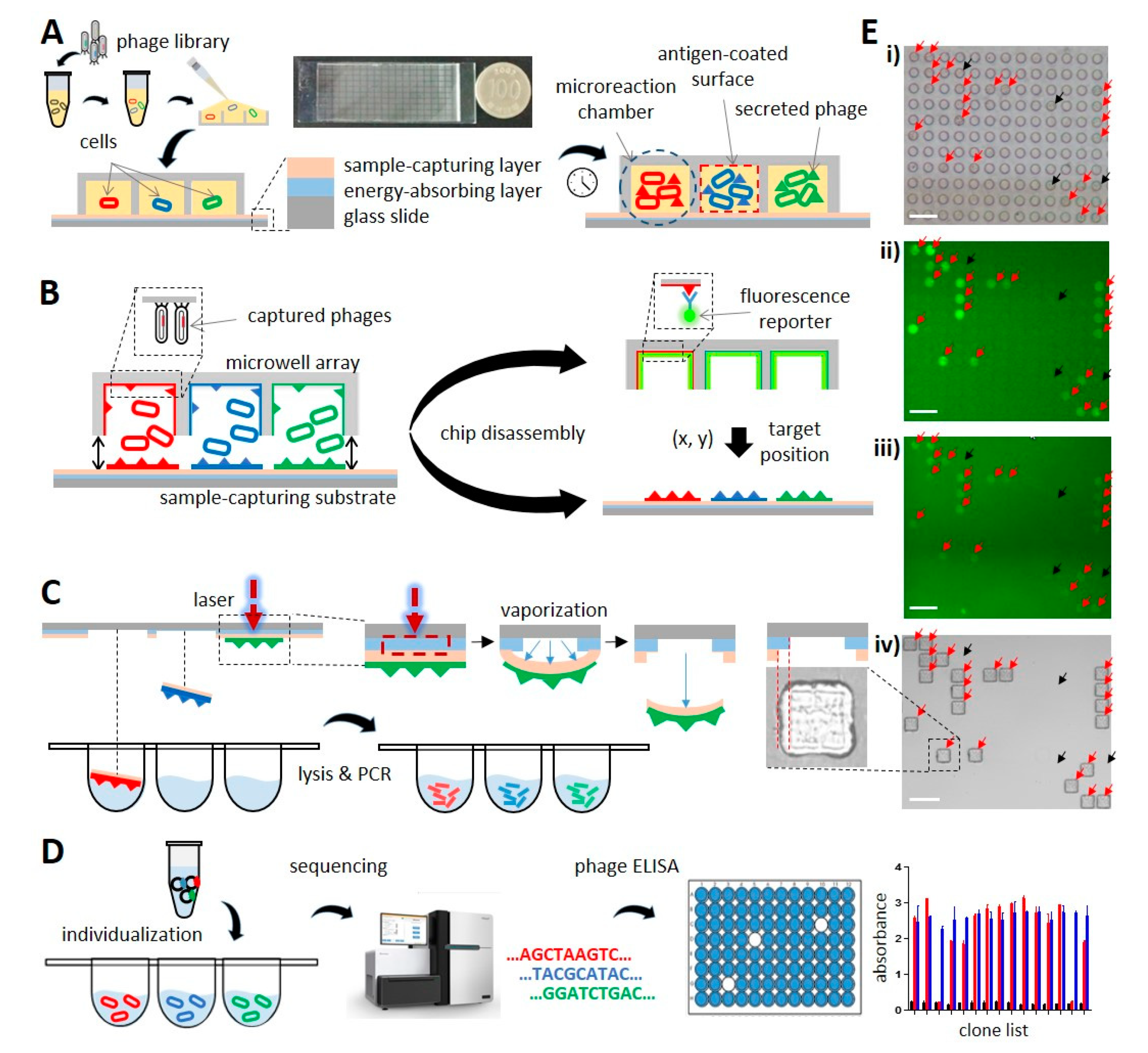 Biomolecules 10 00517 g001