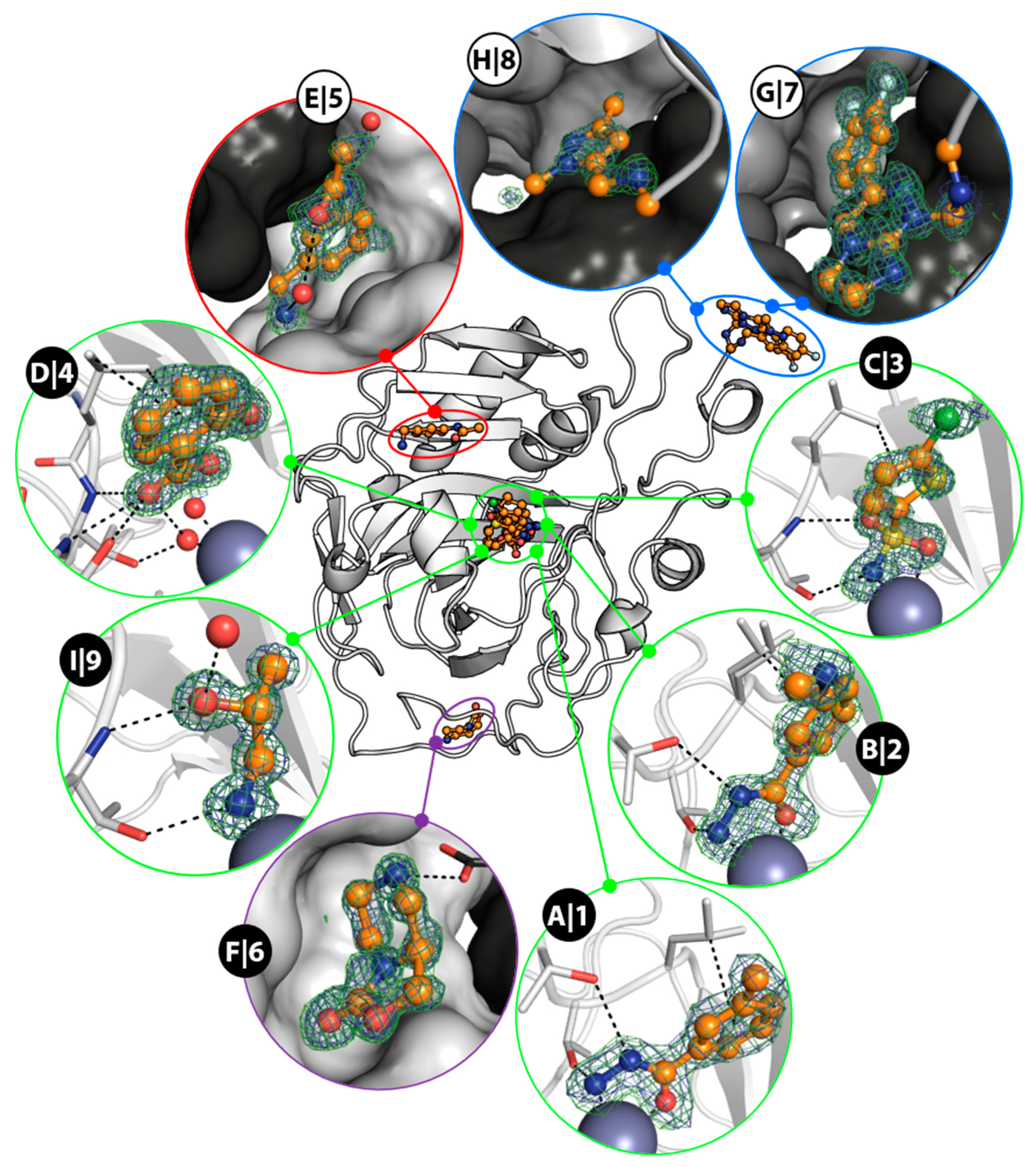 Biomolecules 10 00518 g002
