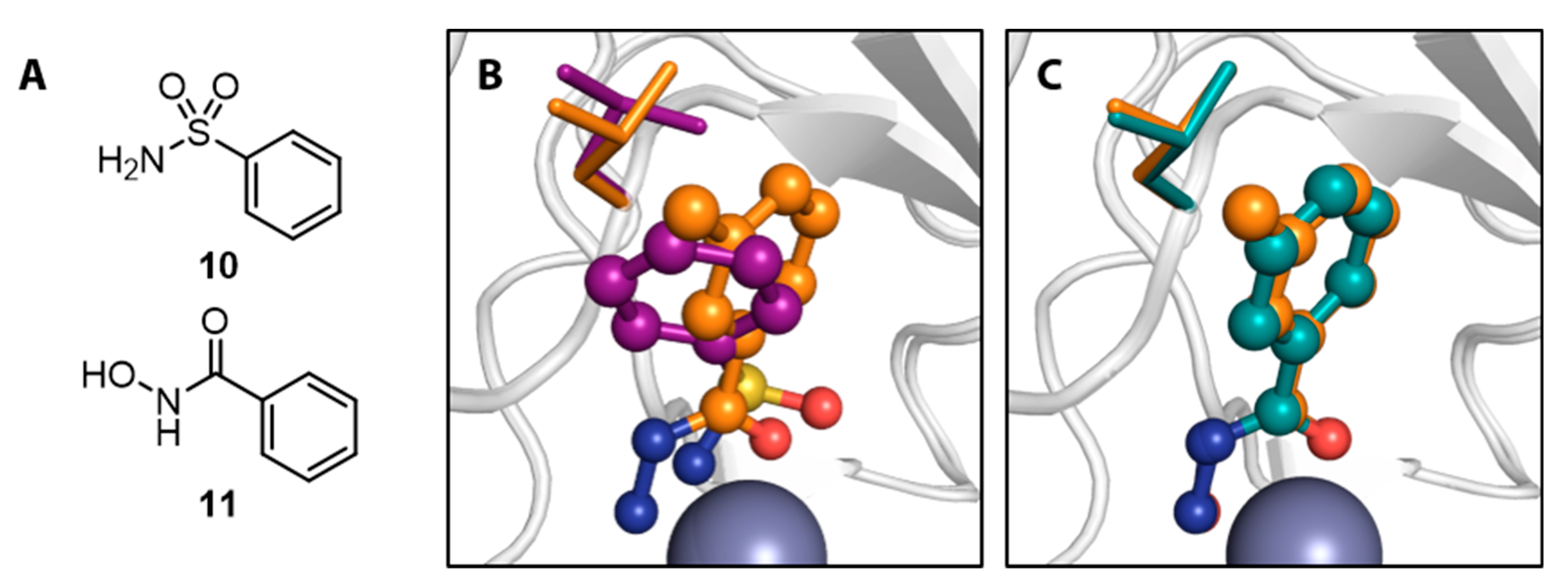 Biomolecules 10 00518 g003