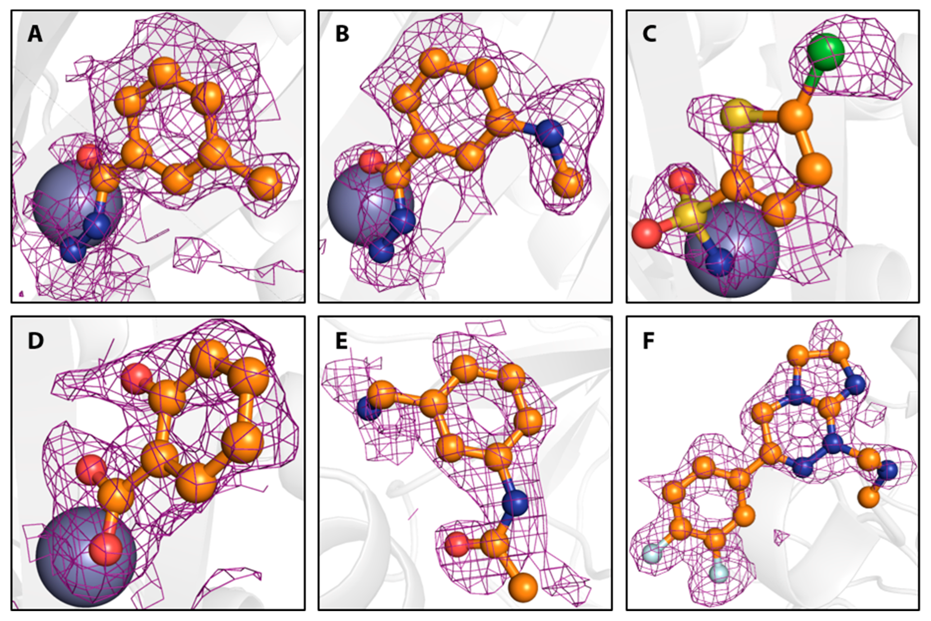 Biomolecules 10 00518 g005