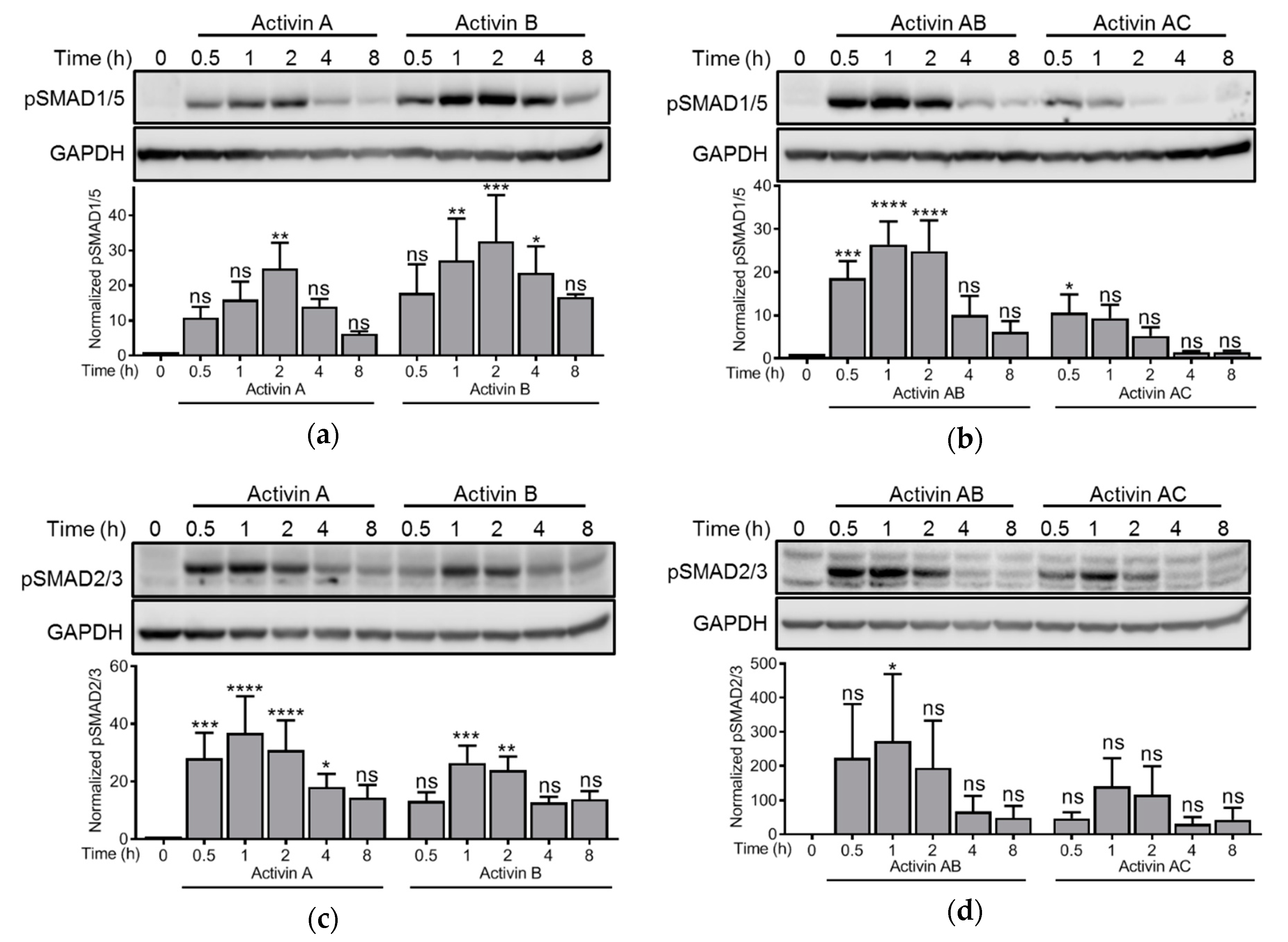 Biomolecules 10 00519 g002