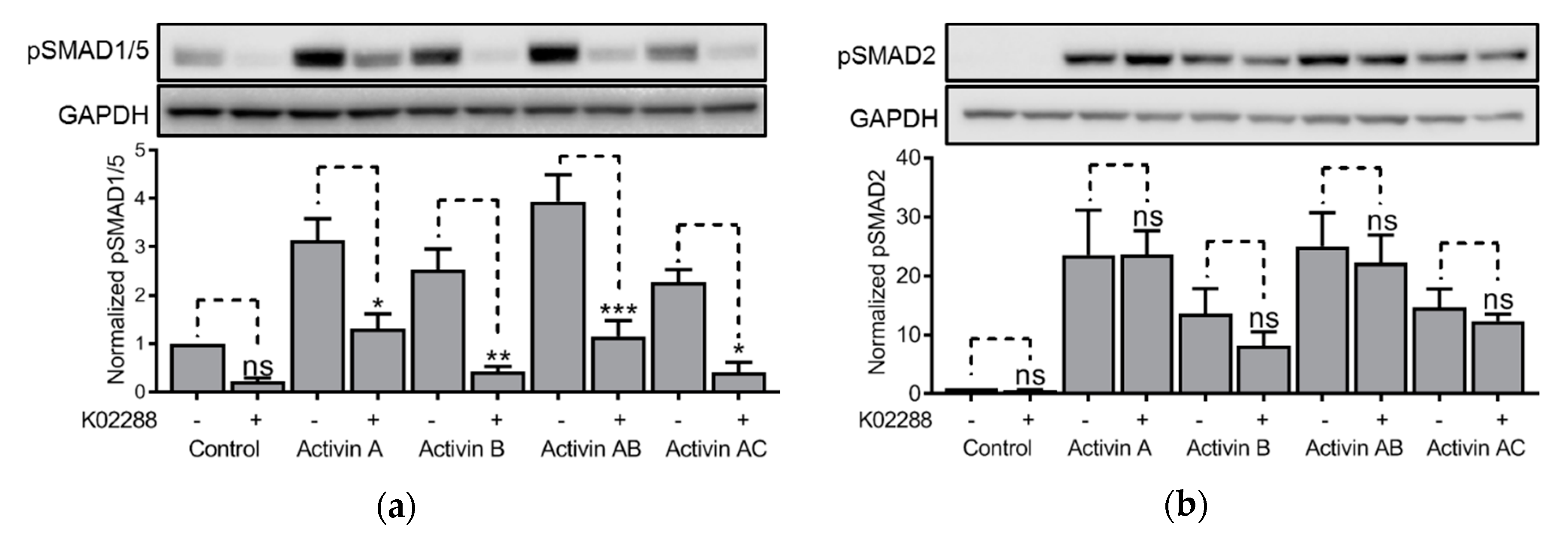 Biomolecules 10 00519 g004