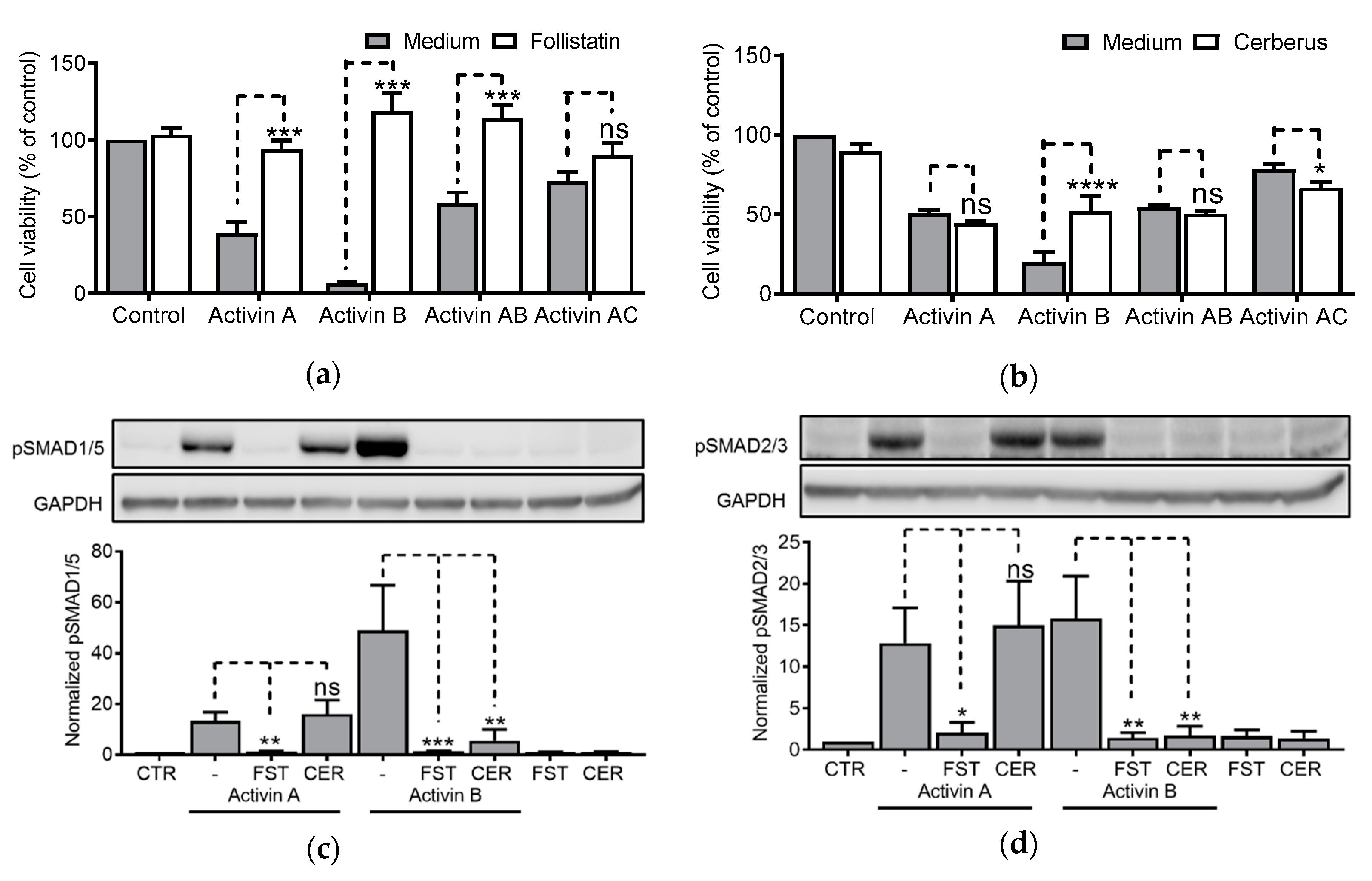 Biomolecules 10 00519 g006