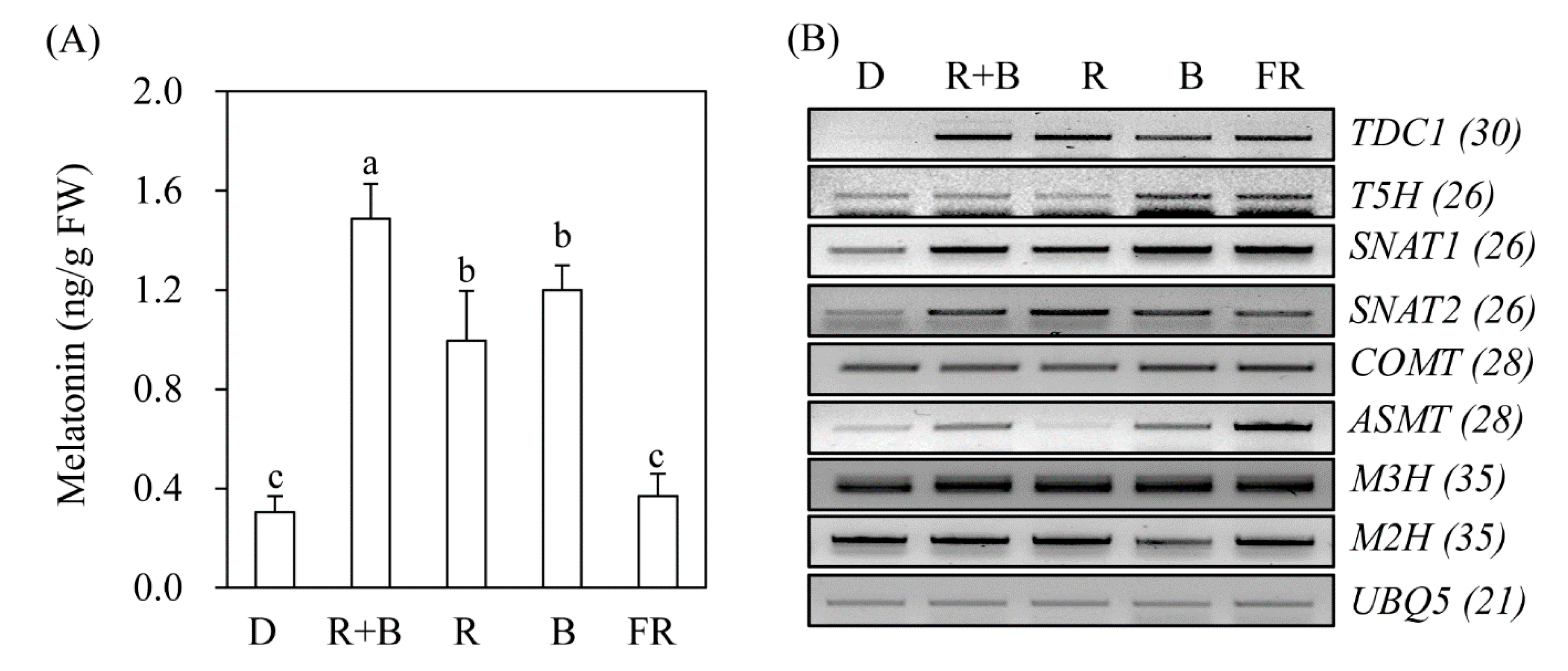 Biomolecules 10 00523 g002 Biomolecules 10 00523 g002