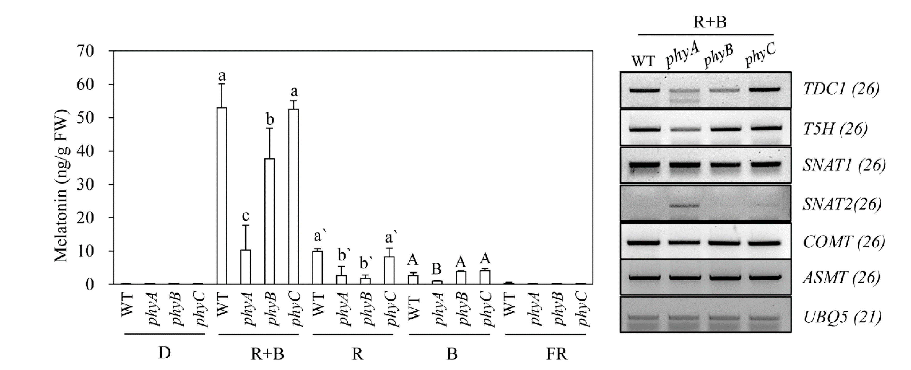 Biomolecules 10 00523 g004 Biomolecules 10 00523 g004