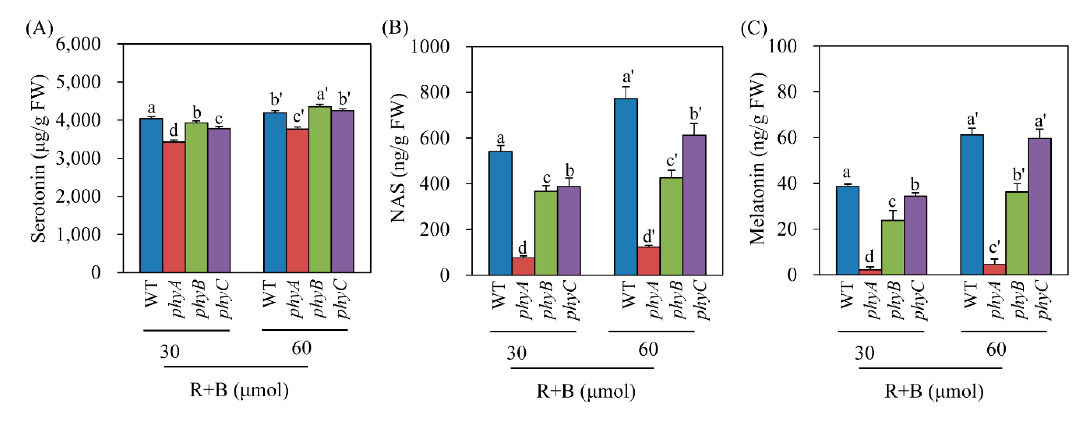 Biomolecules 10 00523 g005 Biomolecules 10 00523 g005