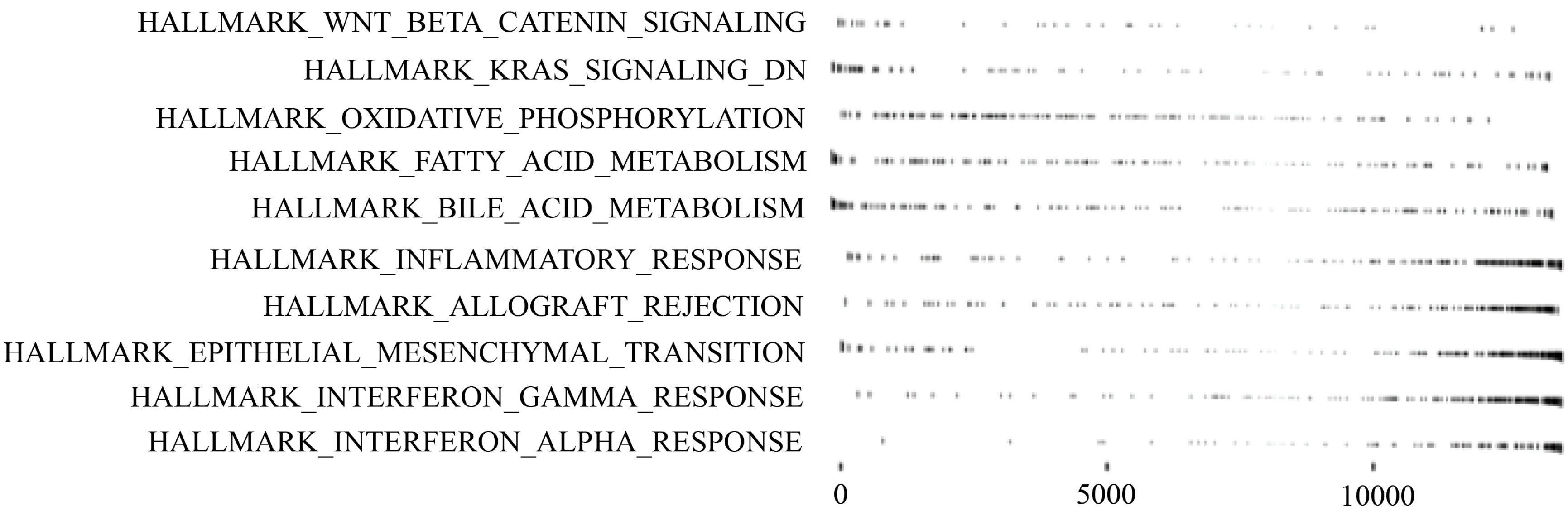 Biomolecules 10 00524 g003