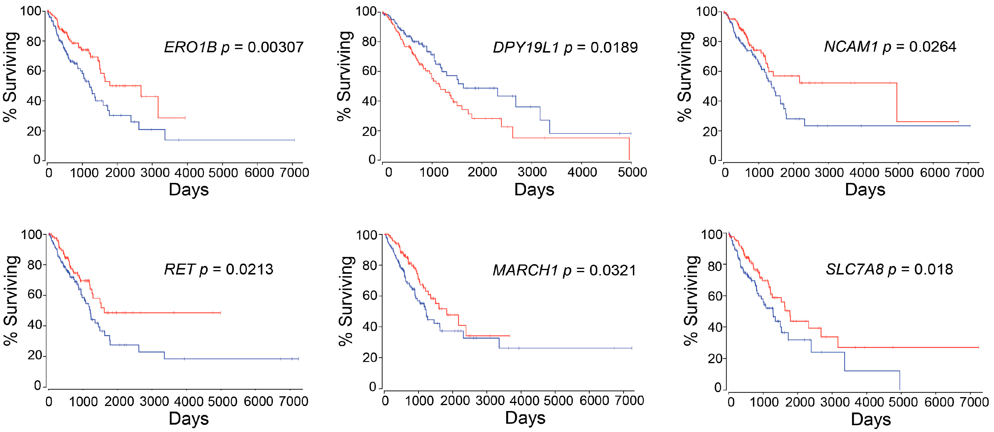 Biomolecules 10 00524 g004