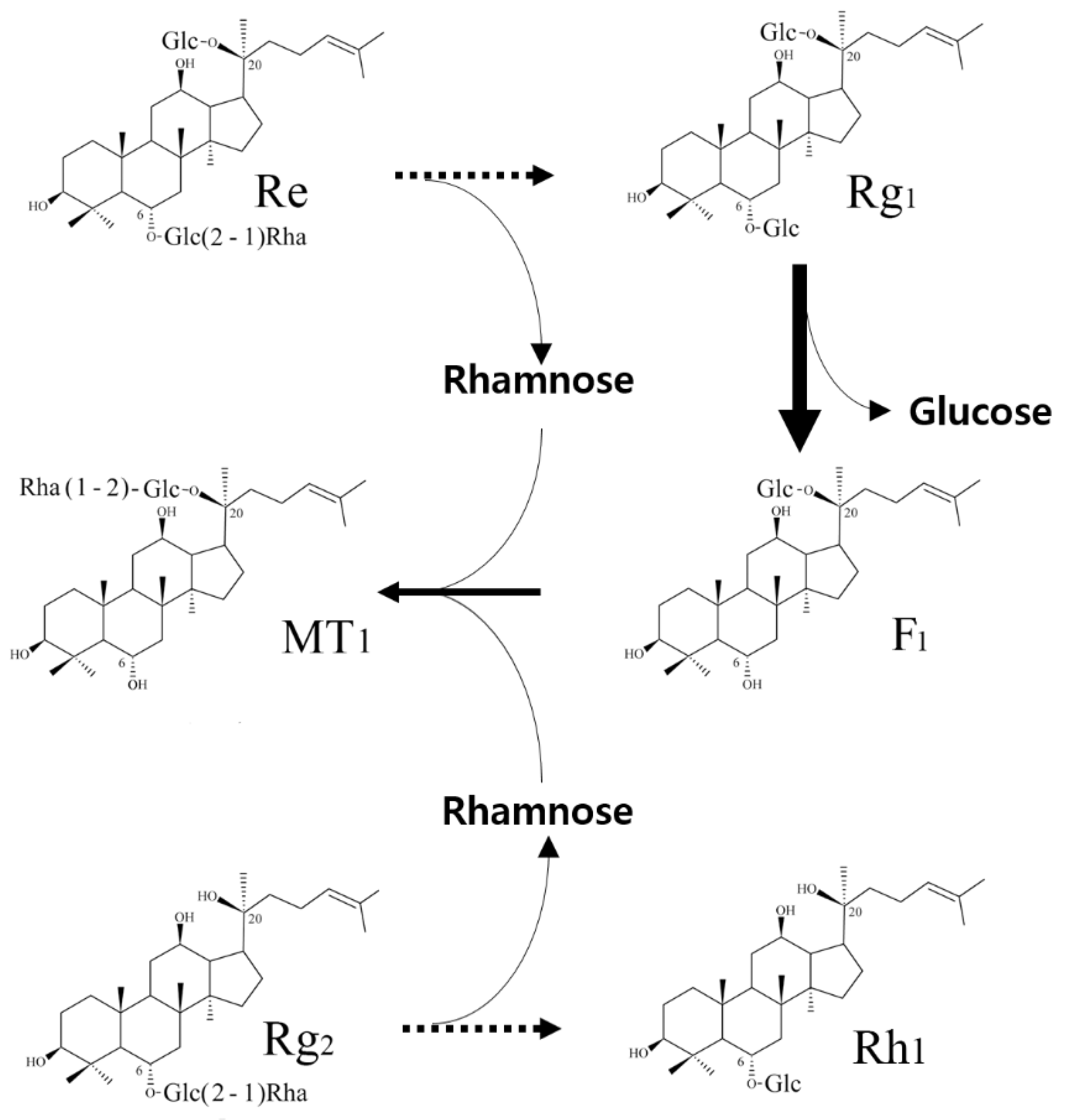 Biomolecules 10 00525 g006