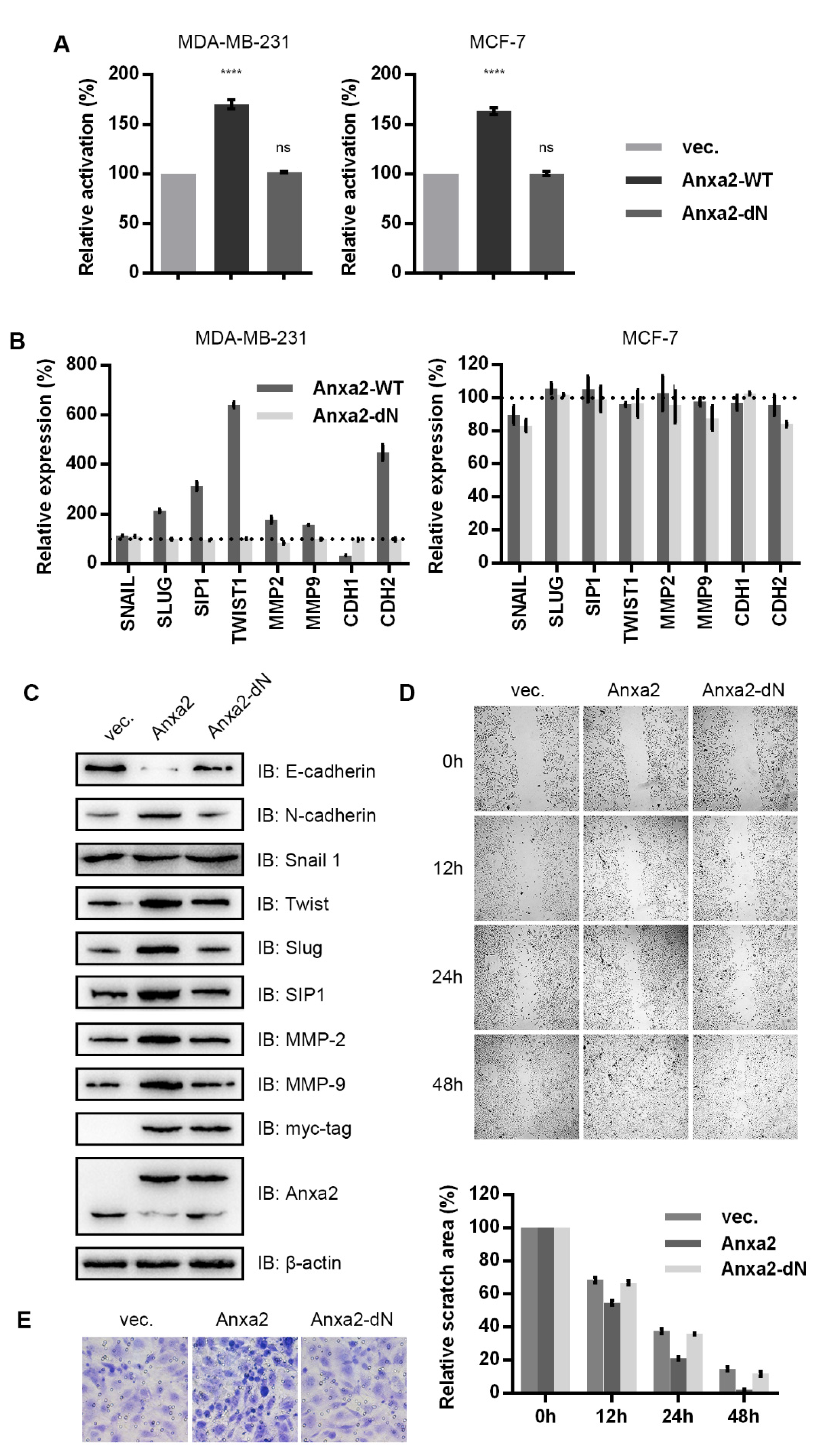 Biomolecules 10 00528 g002