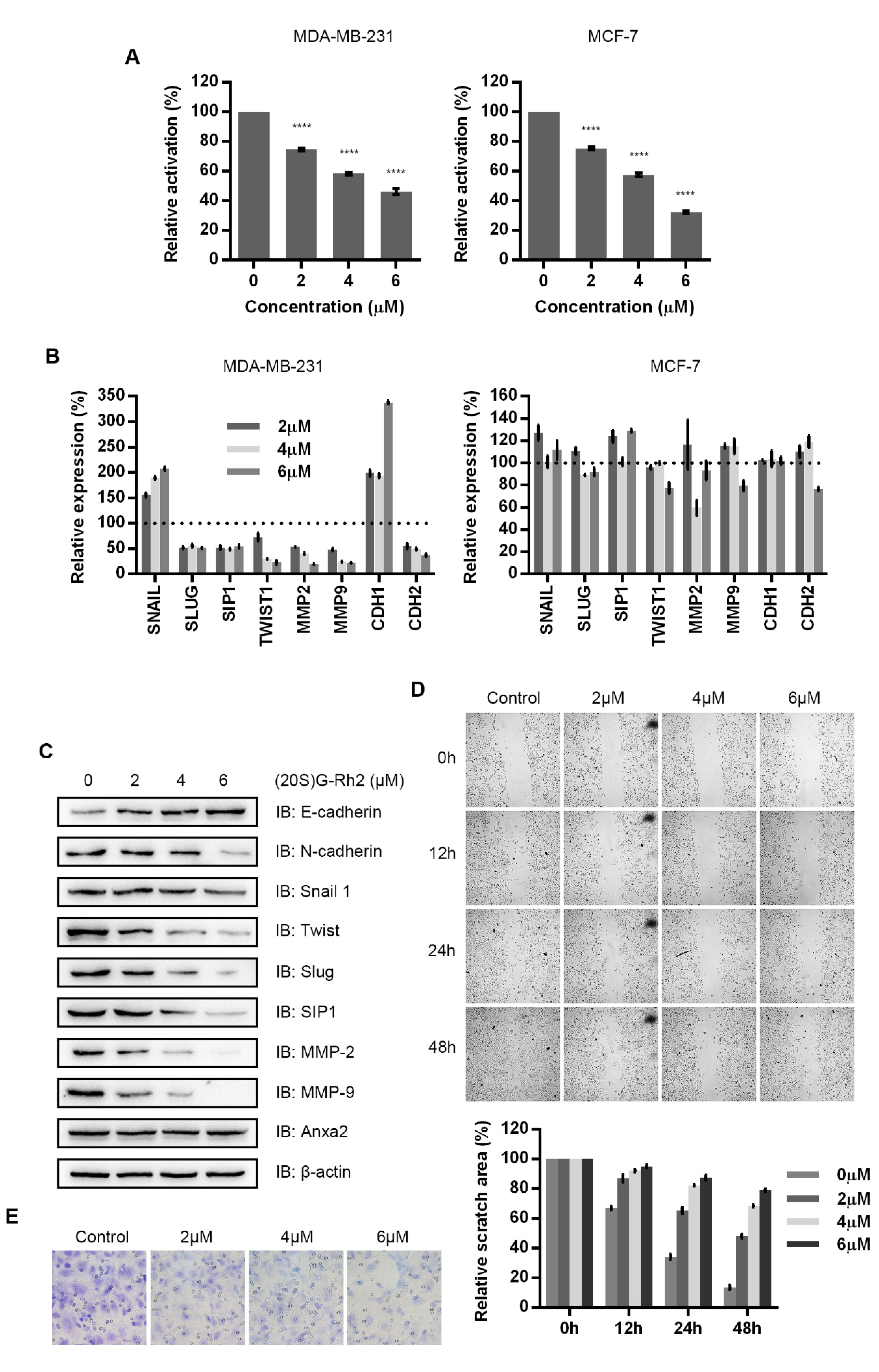 Biomolecules 10 00528 g004