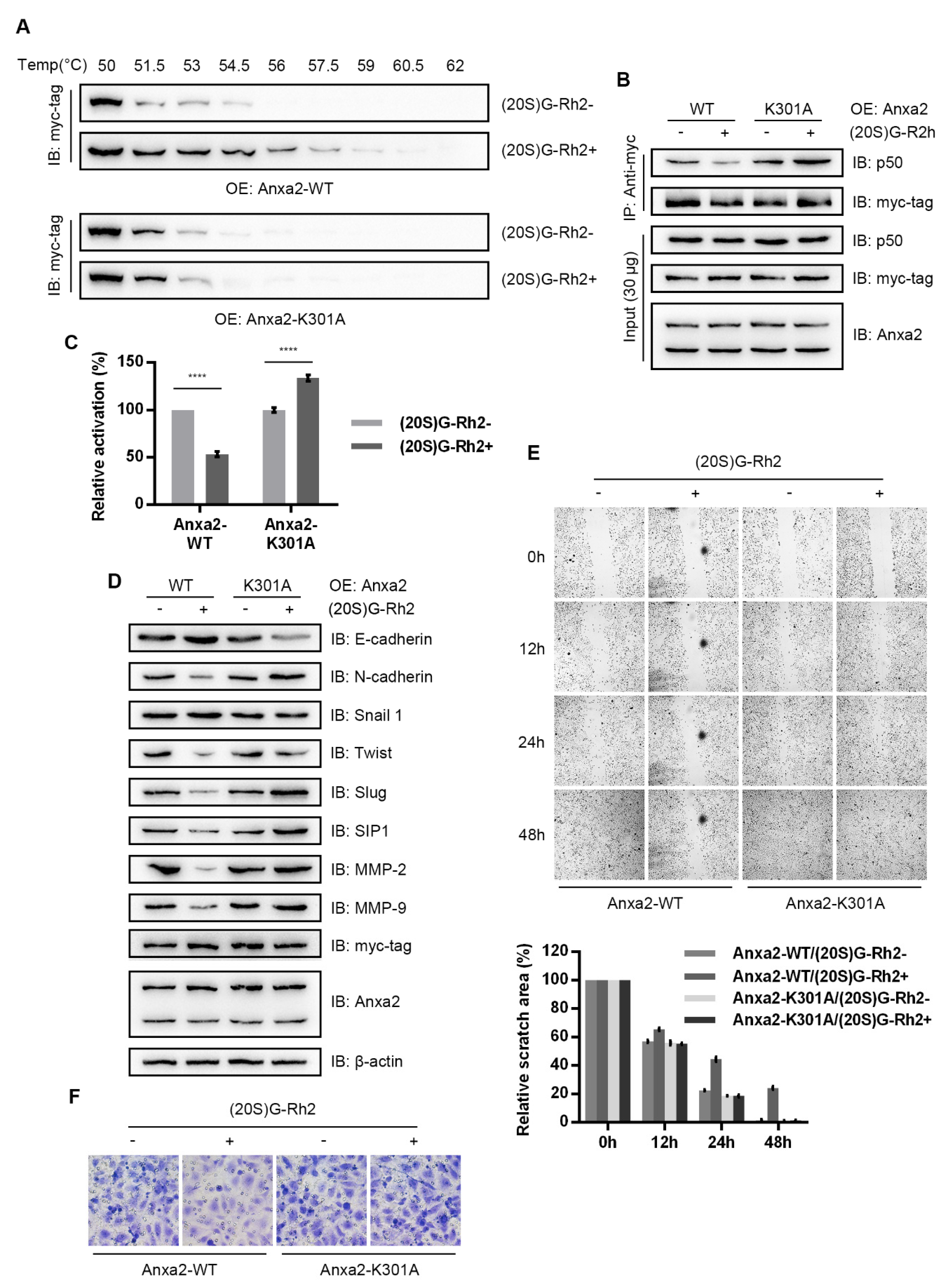 Biomolecules 10 00528 g005