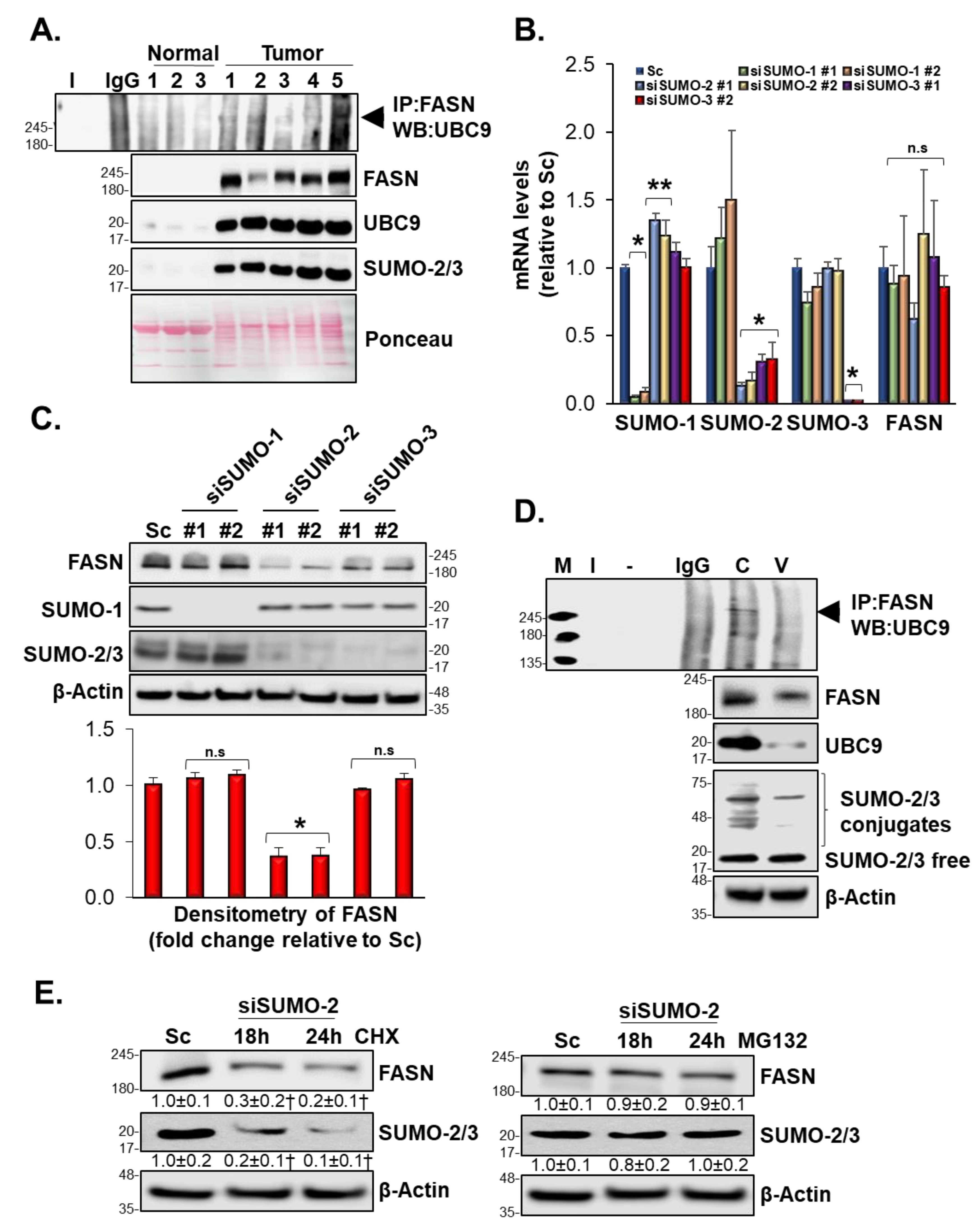 Biomolecules 10 00529 g006 Biomolecules 10 00529 g006