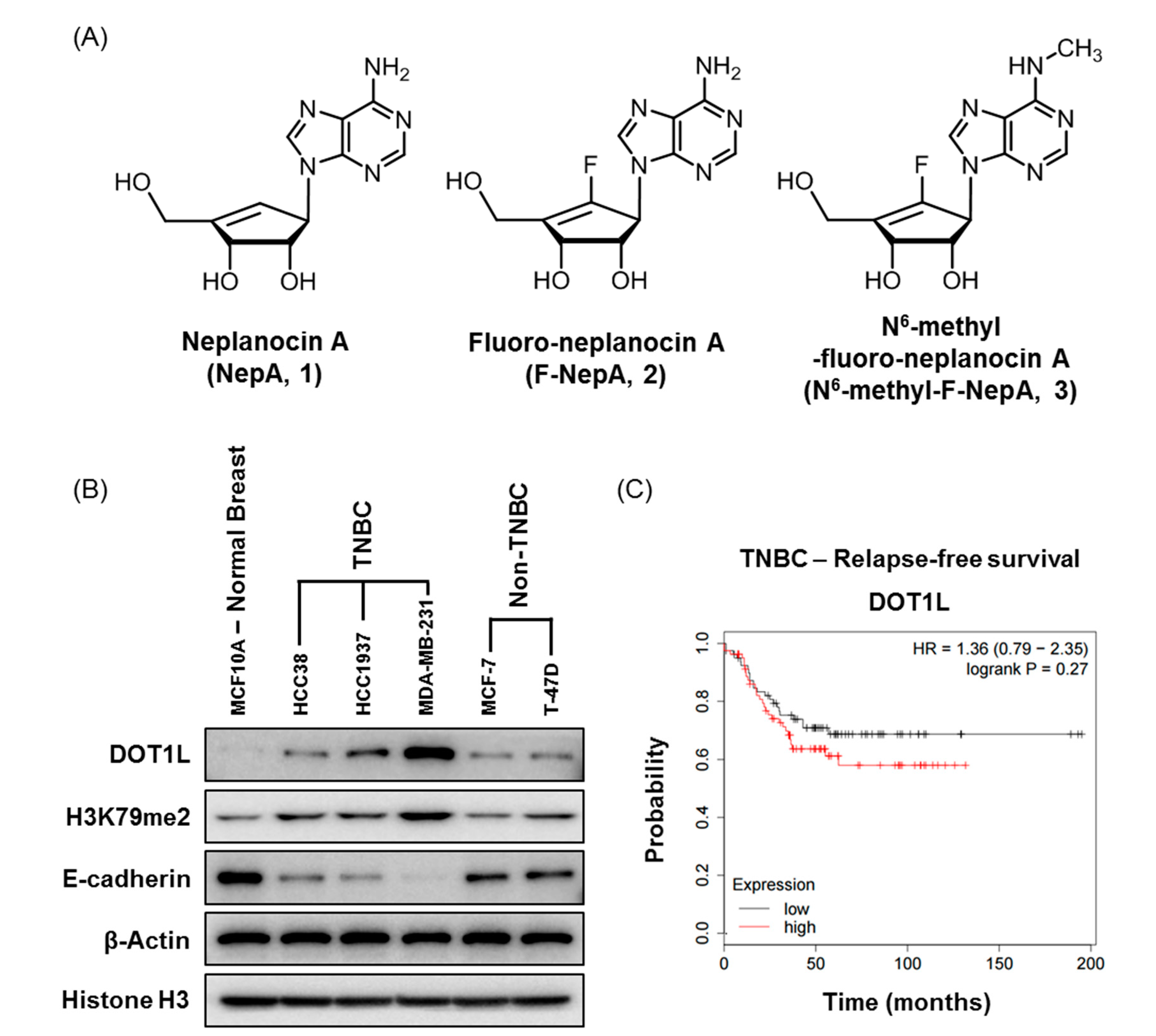 Biomolecules 10 00530 g001 Biomolecules 10 00530 g001