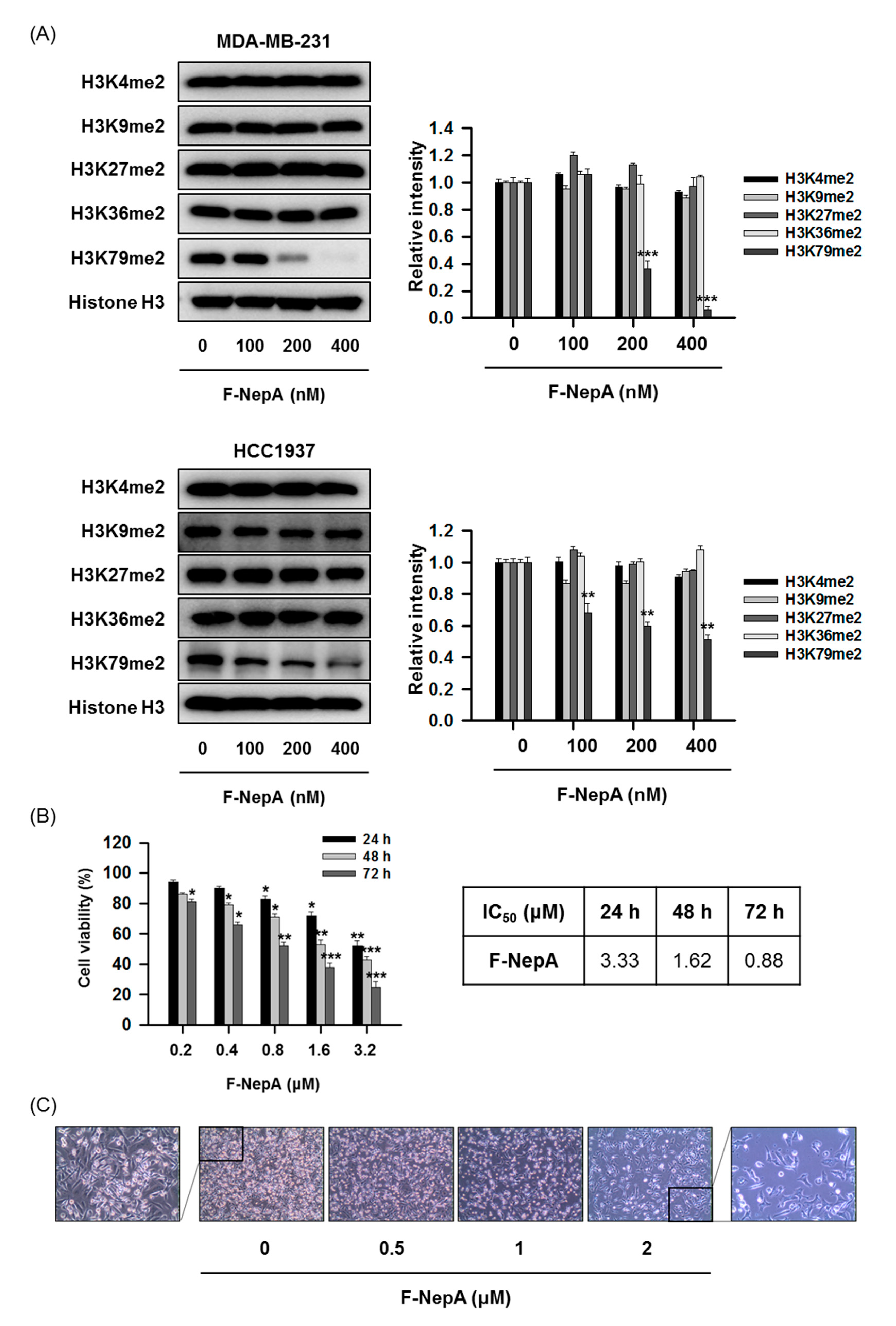 Biomolecules 10 00530 g003 Biomolecules 10 00530 g003