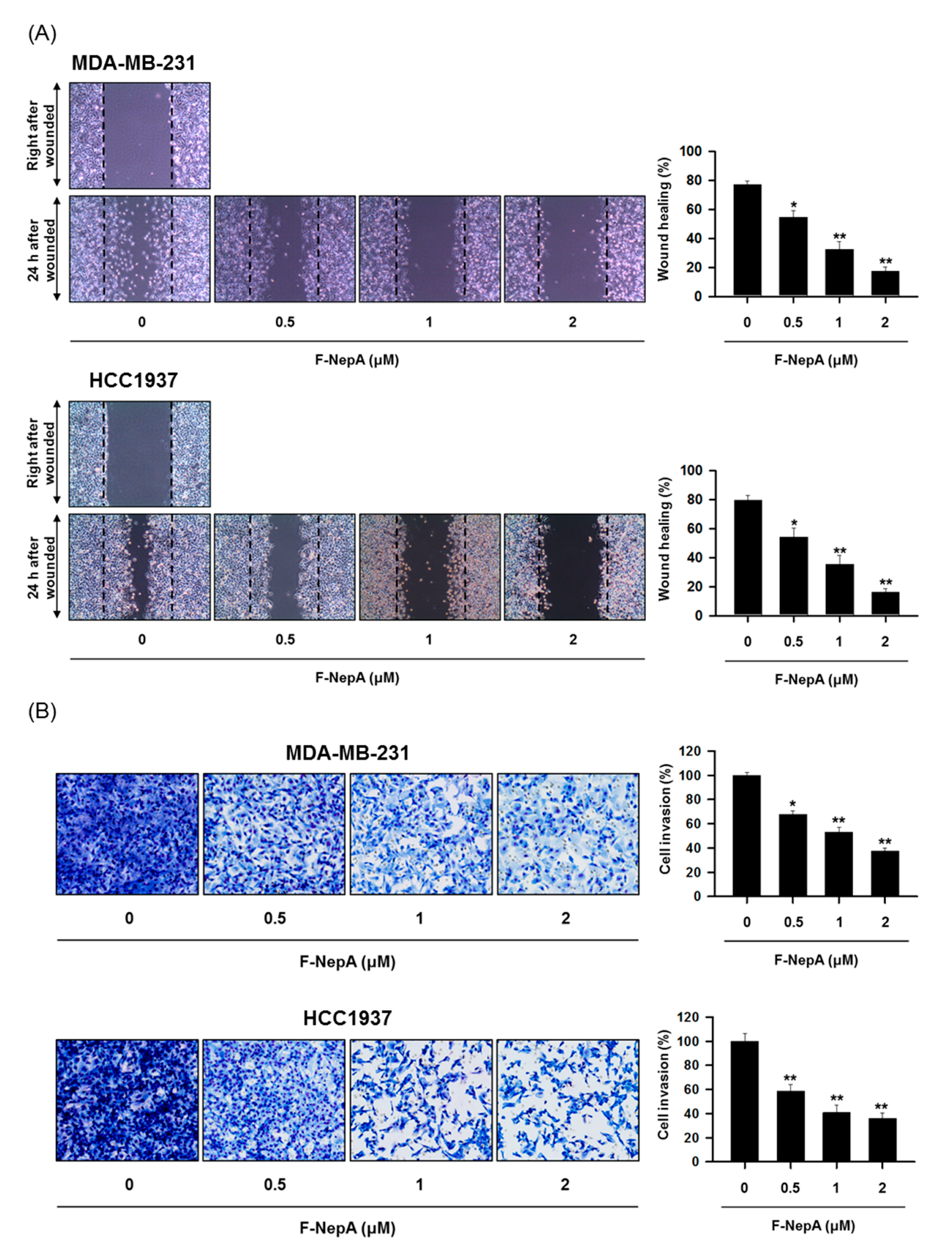 Biomolecules 10 00530 g004 Biomolecules 10 00530 g004