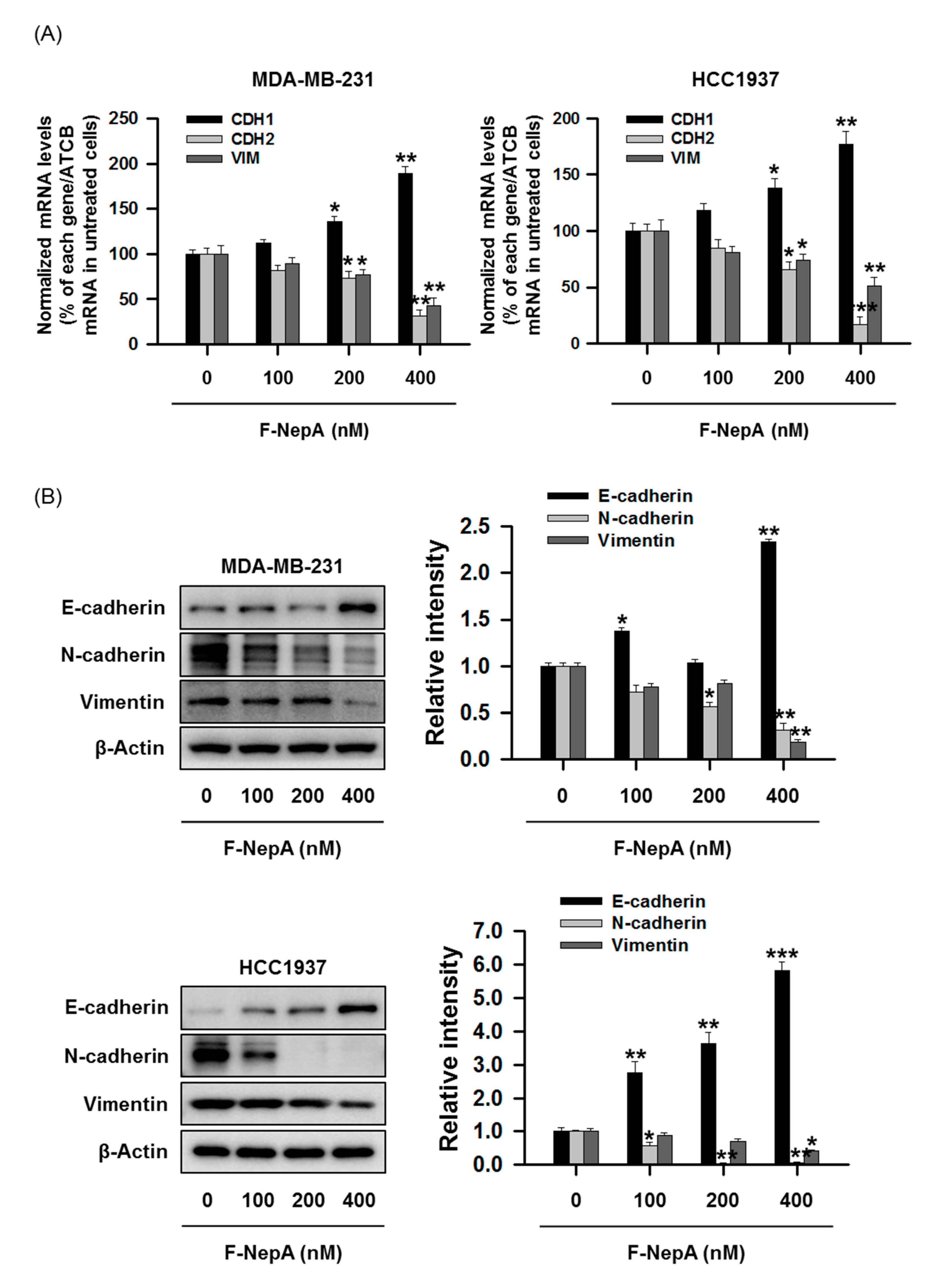 Biomolecules 10 00530 g005 Biomolecules 10 00530 g005