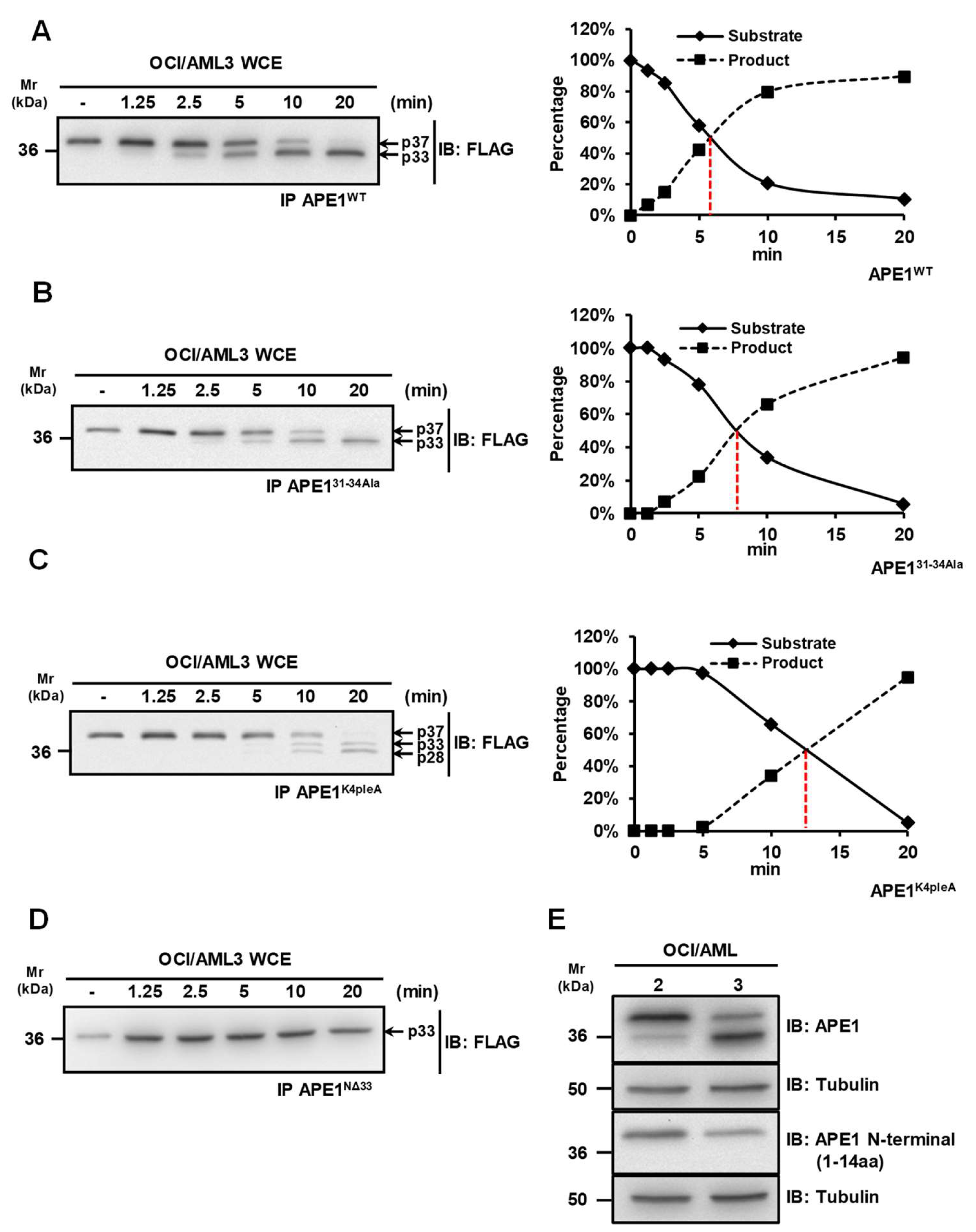 Biomolecules 10 00531 g001 Biomolecules 10 00531 g001