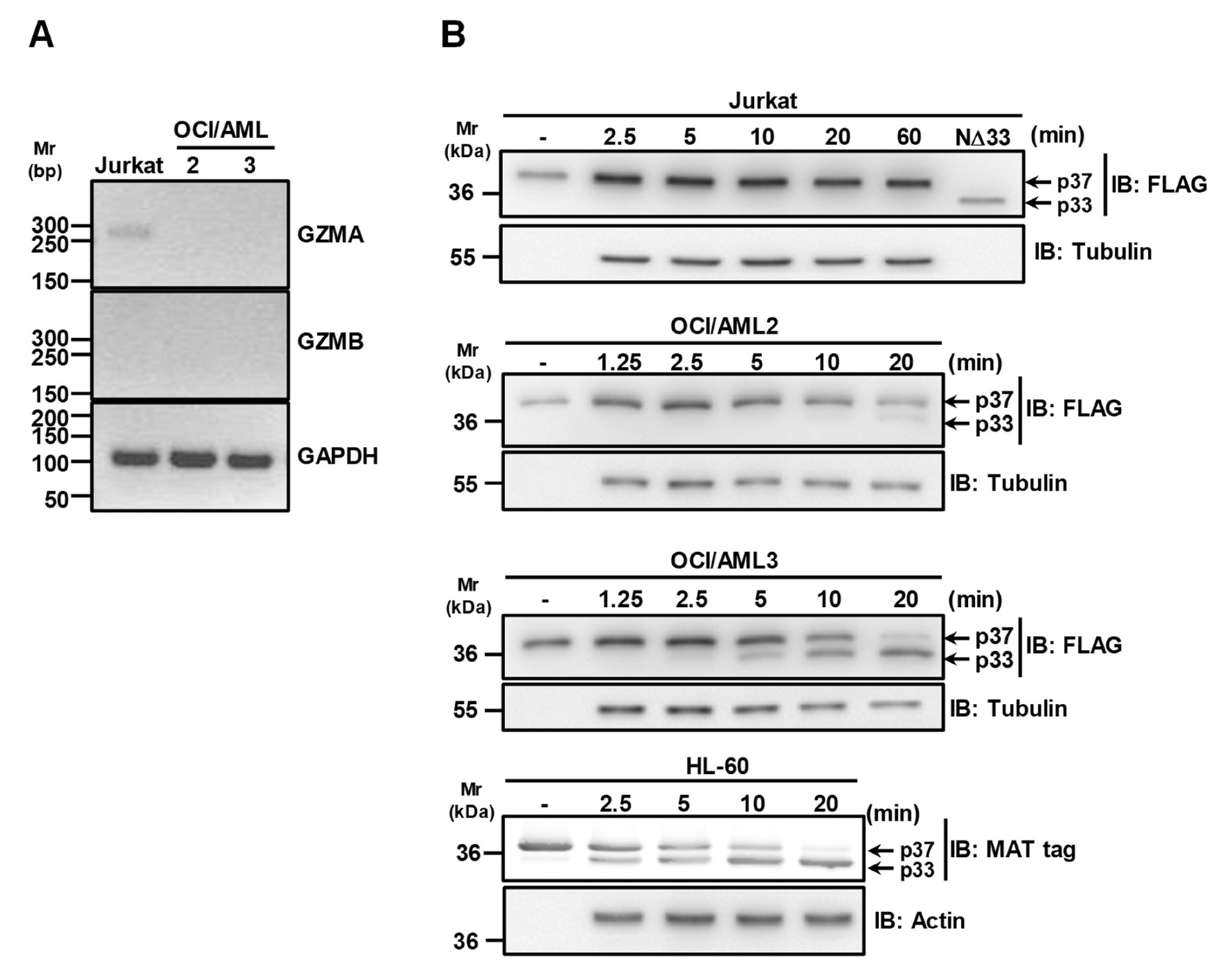 Biomolecules 10 00531 g003 Biomolecules 10 00531 g003