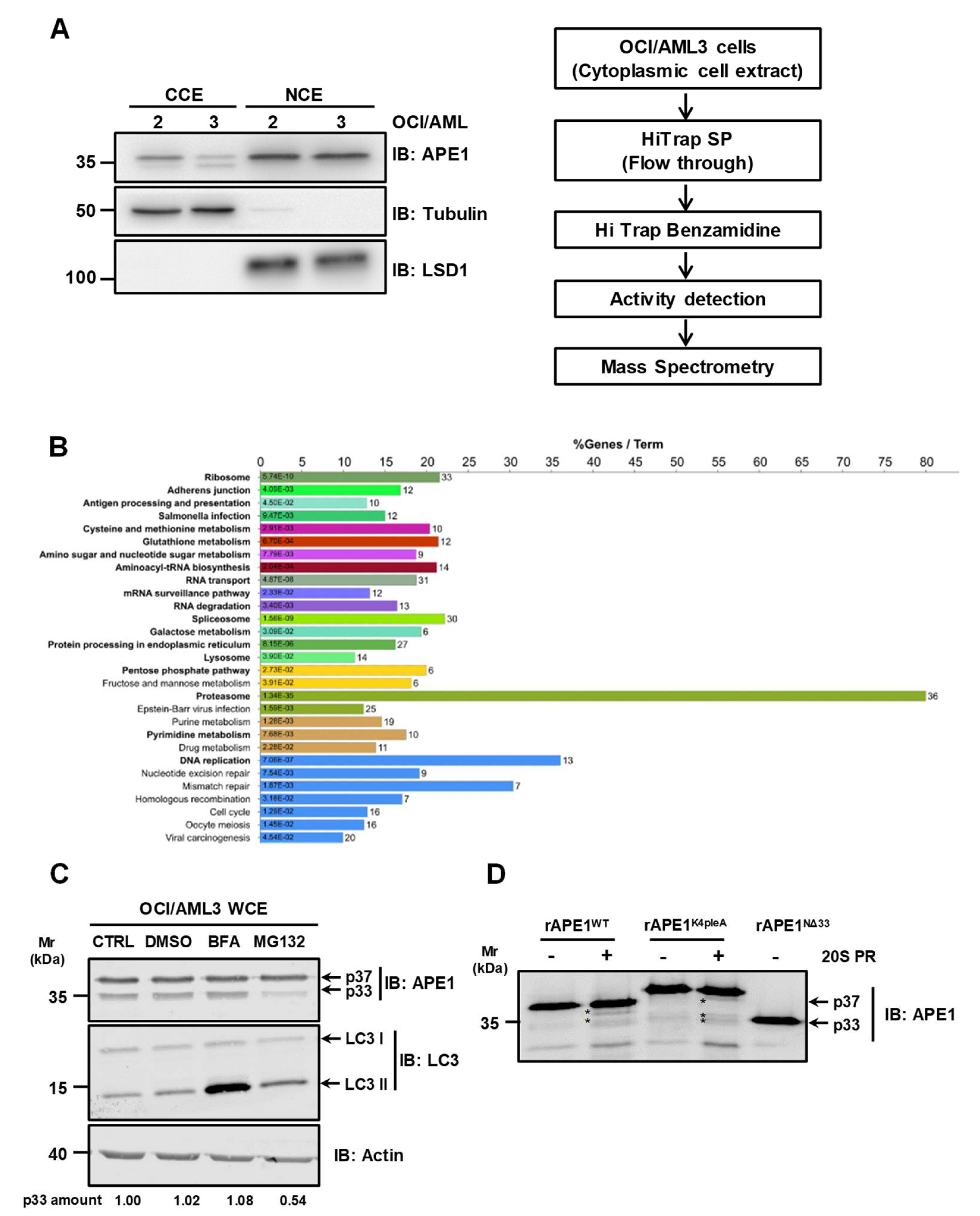 Biomolecules 10 00531 g004 Biomolecules 10 00531 g004