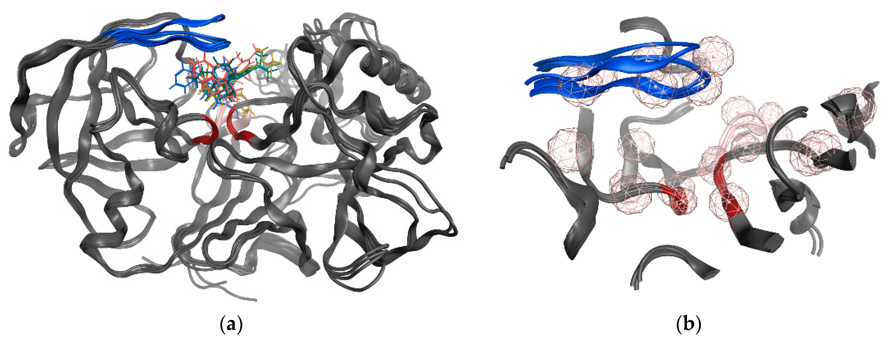 Biomolecules 10 00535 g003