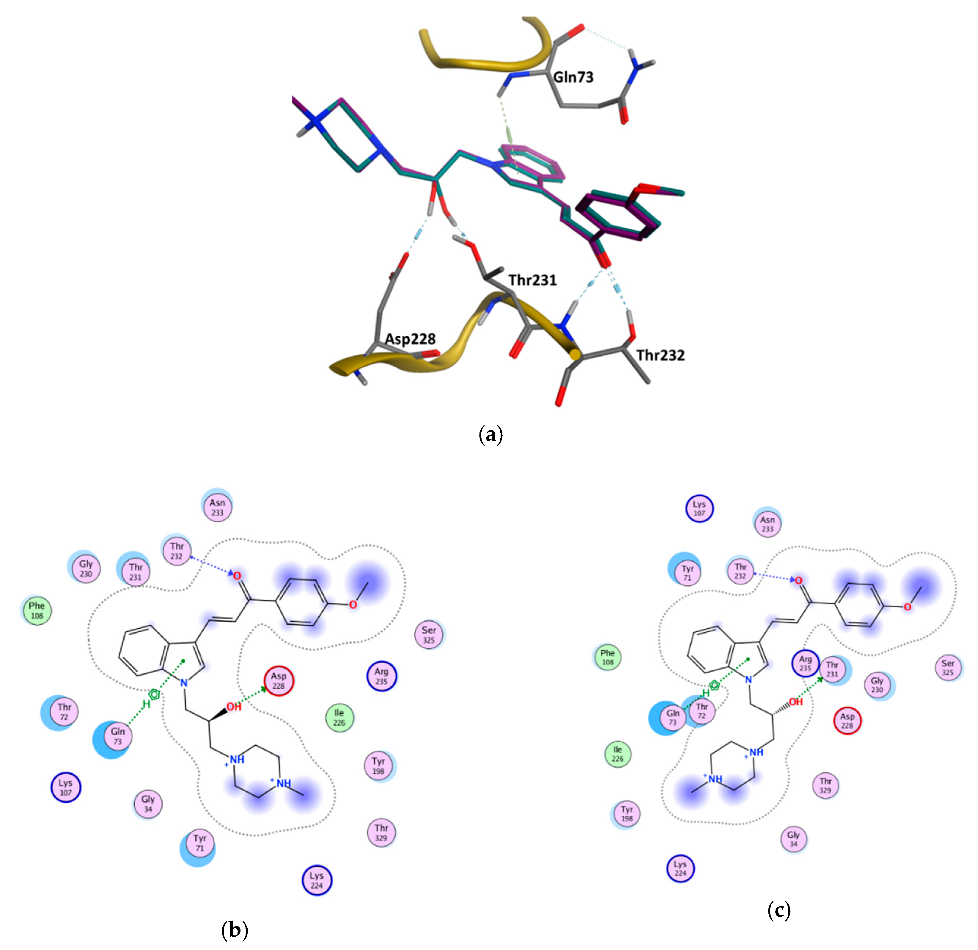 Biomolecules 10 00535 g009