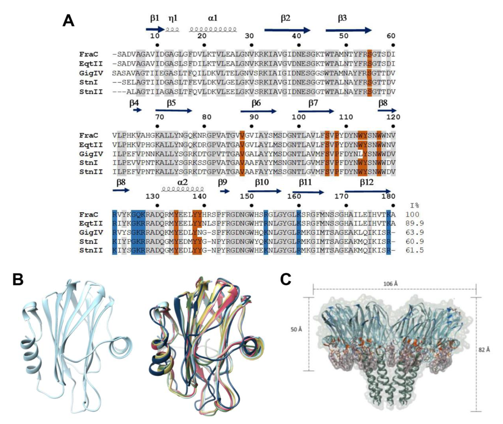 Ppt Ch 5 The Structure And Function Of Large Biomolecules Vrogue