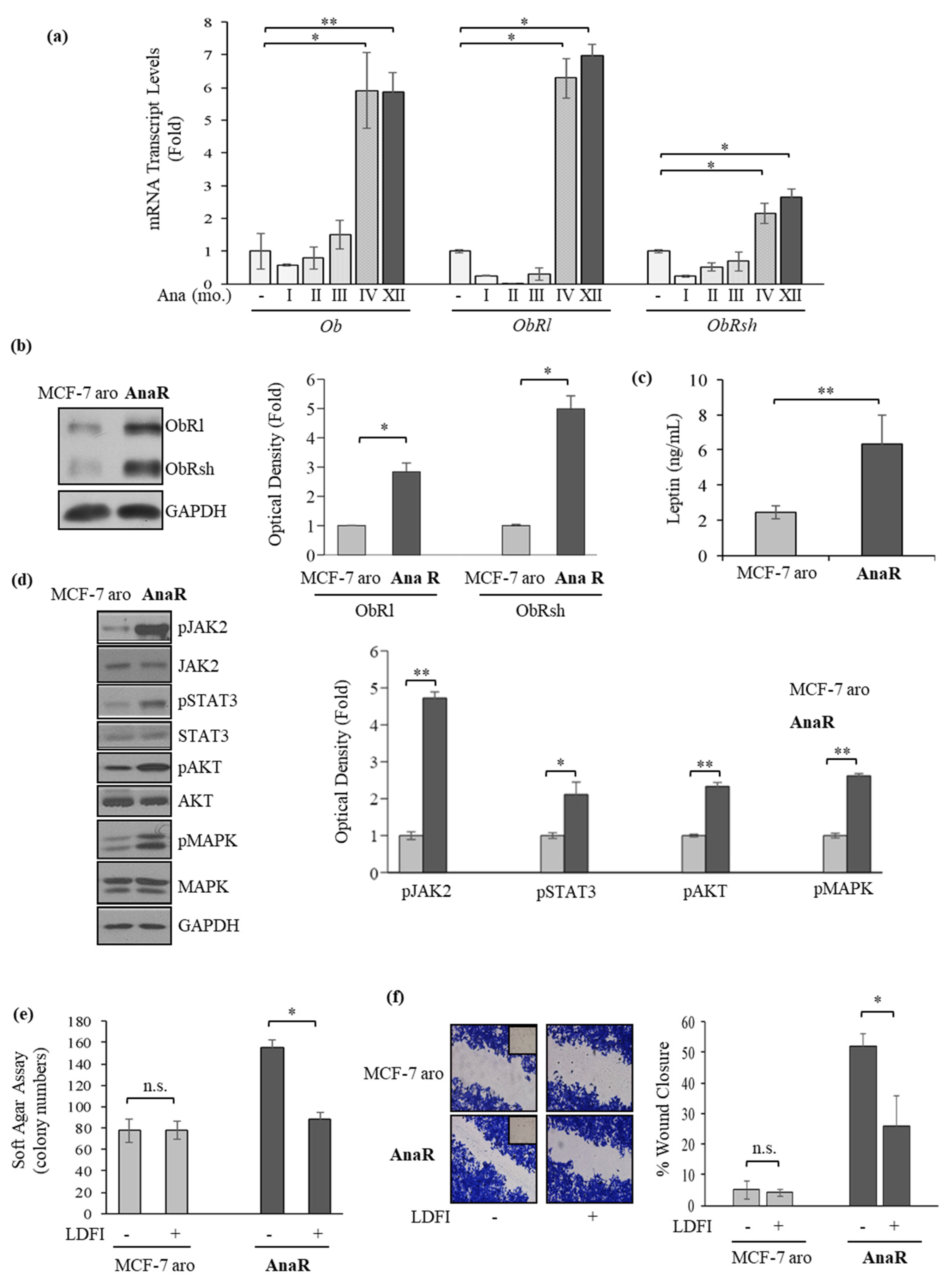 Biomolecules 10 00543 g002 Biomolecules 10 00543 g002