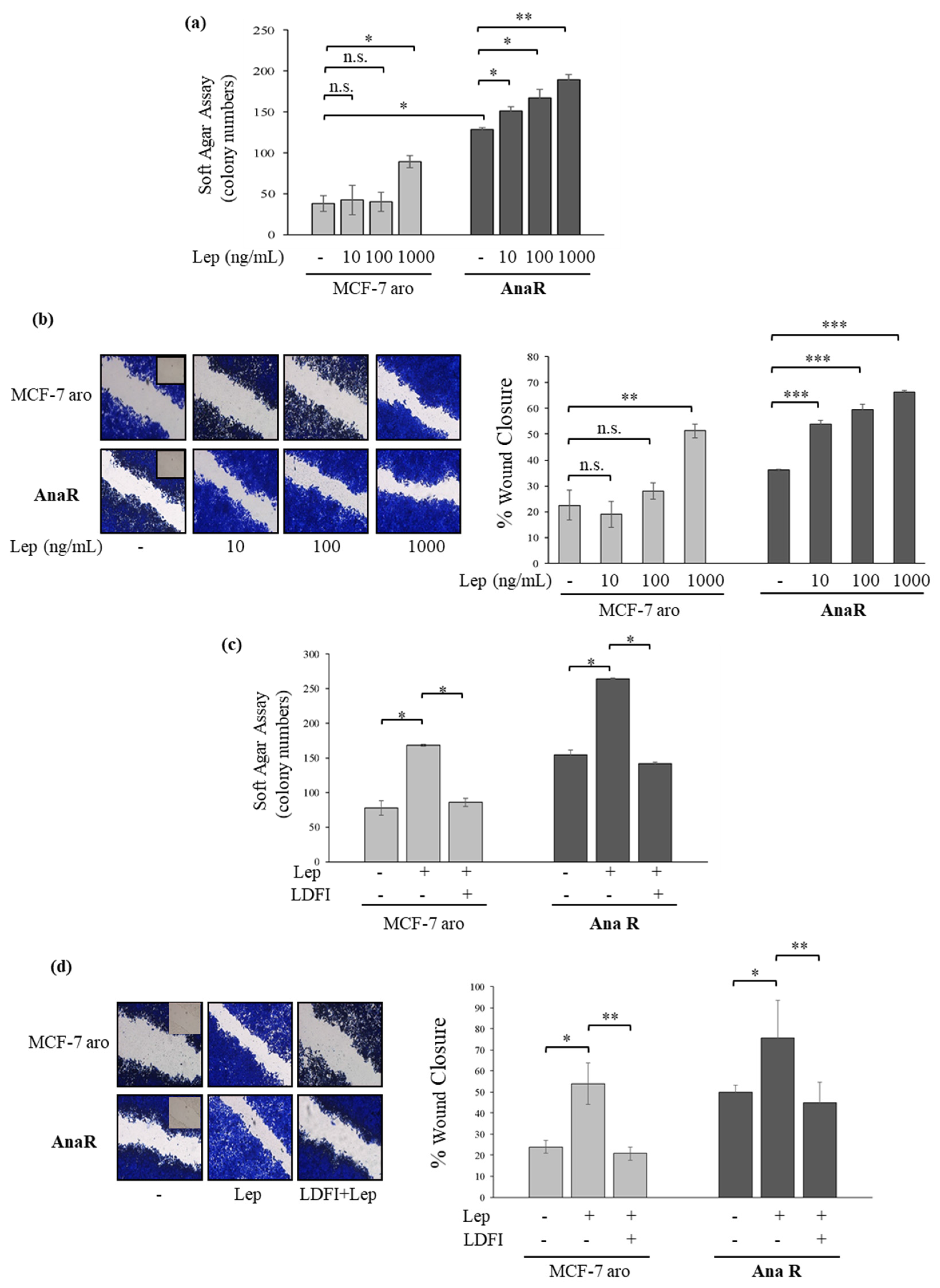 Biomolecules 10 00543 g003 Biomolecules 10 00543 g003