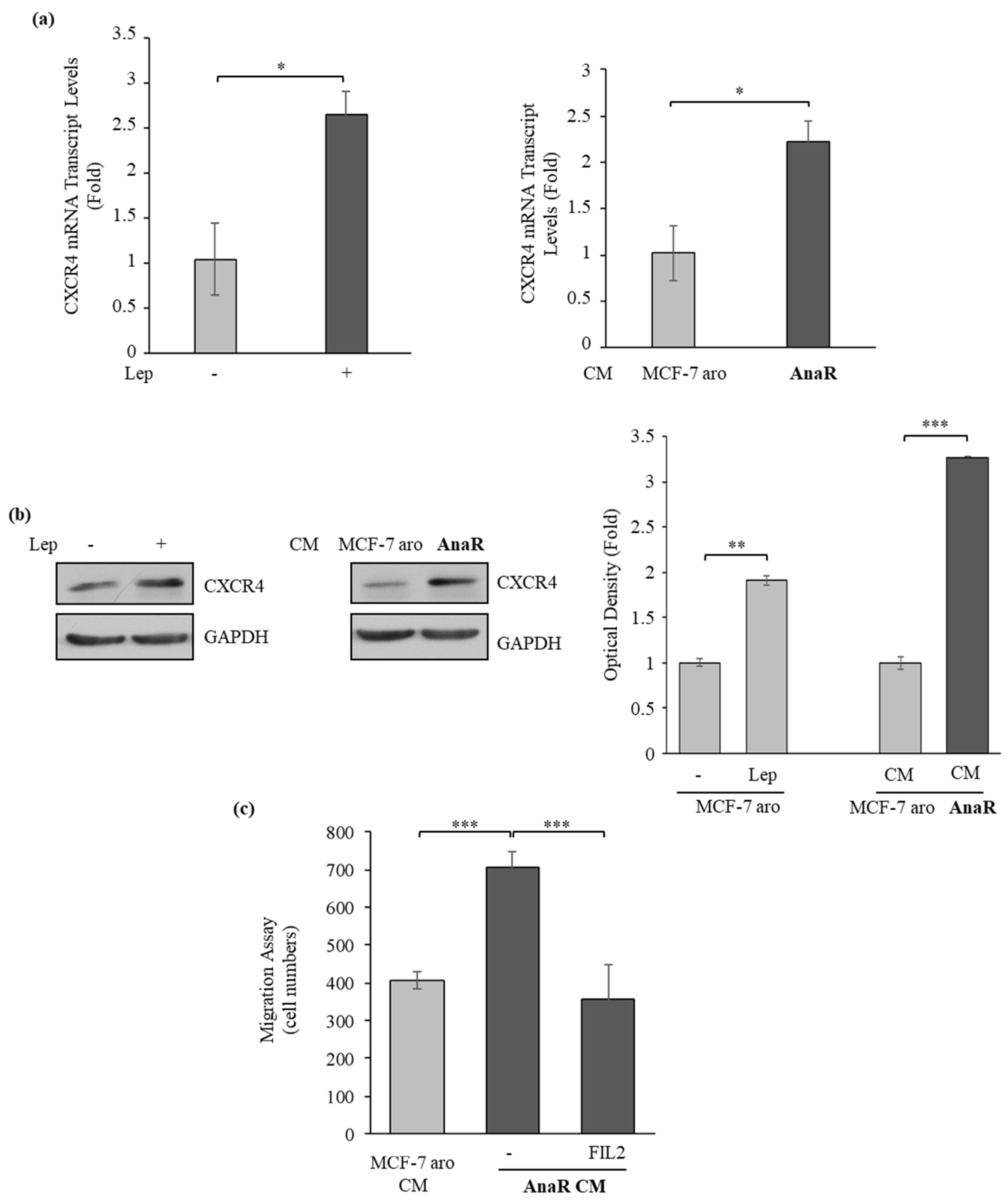 Biomolecules 10 00543 g005 Biomolecules 10 00543 g005