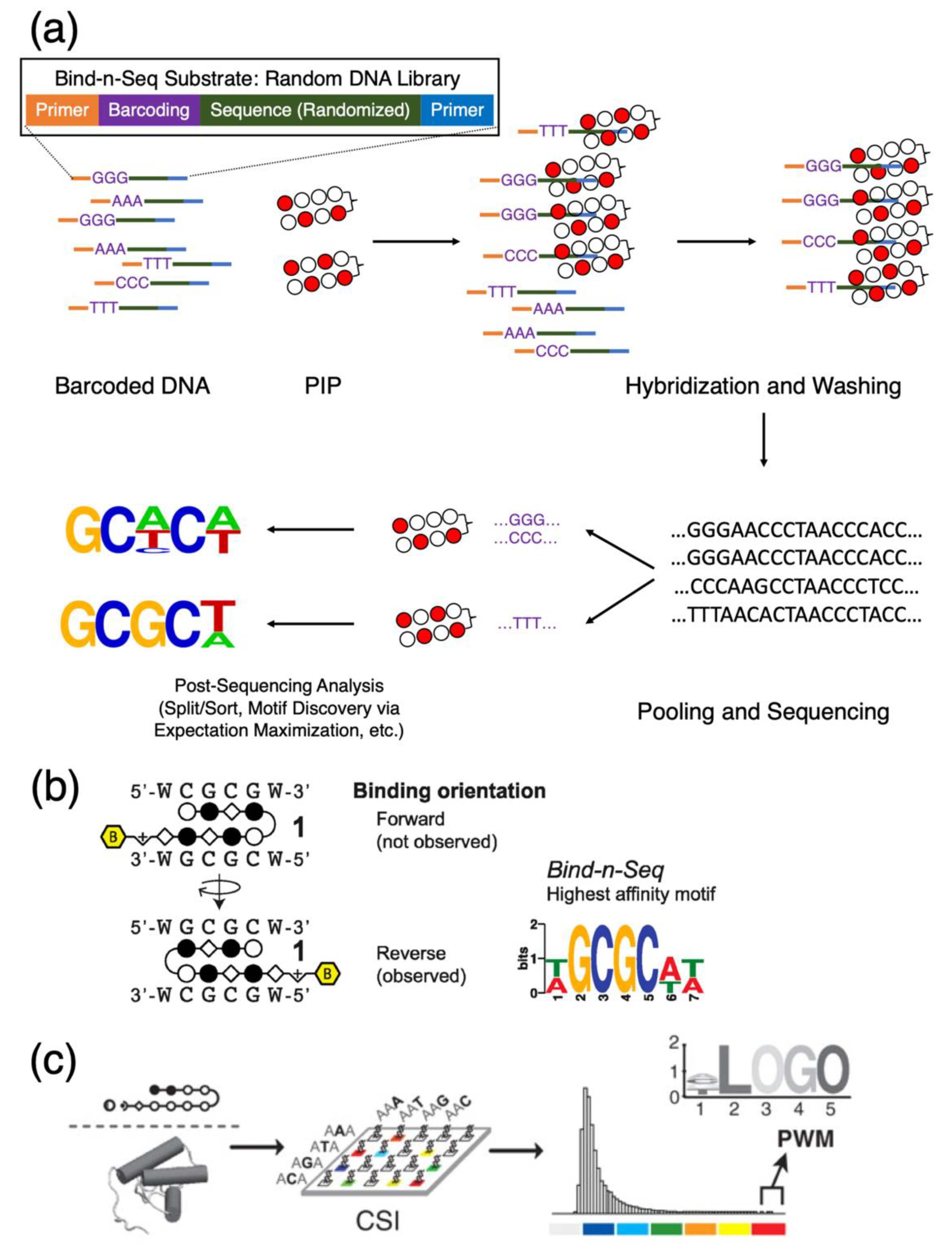 Biomolecules 10 00544 g004 Biomolecules 10 00544 g004