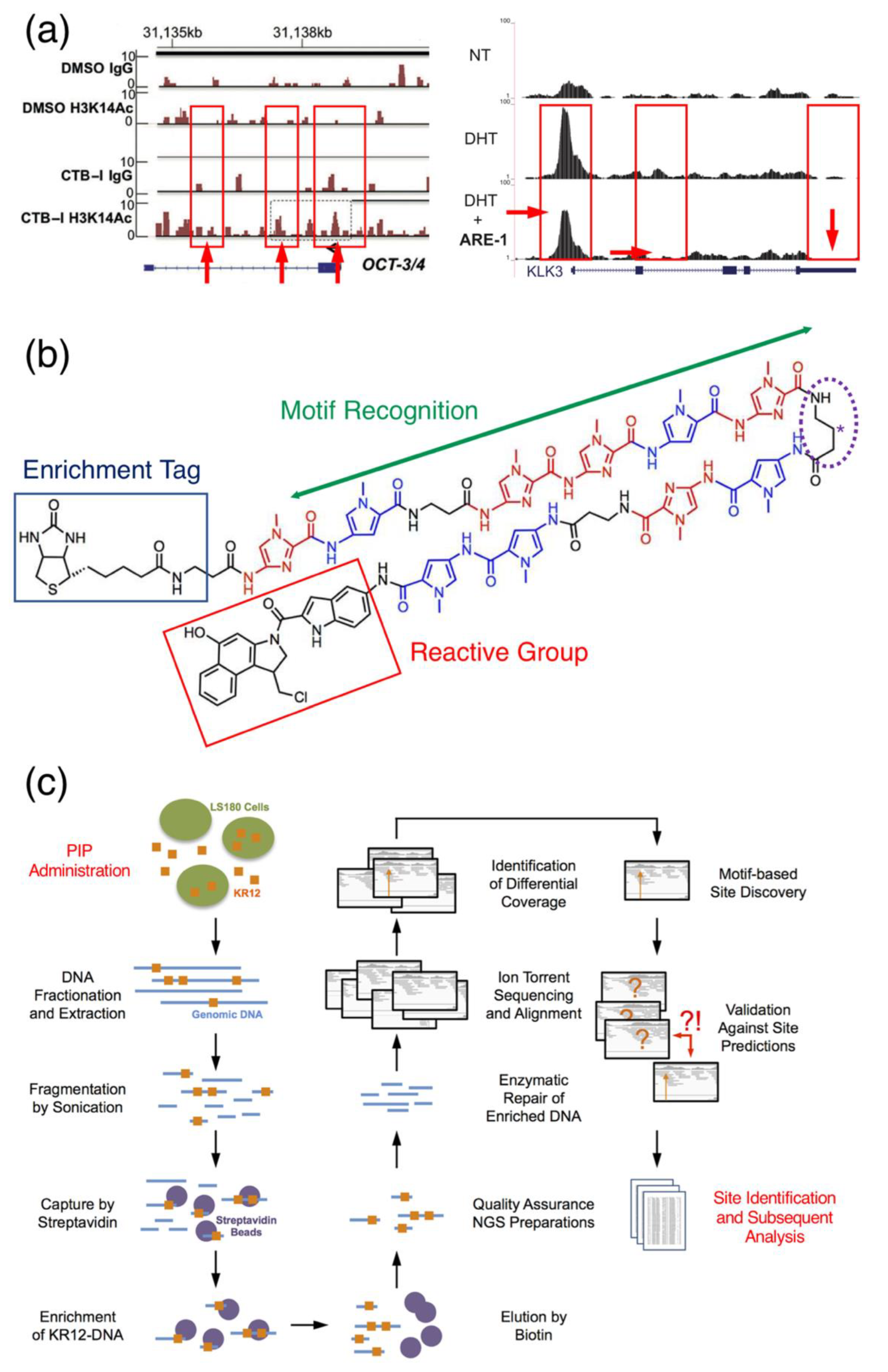 Biomolecules 10 00544 g005 Biomolecules 10 00544 g005