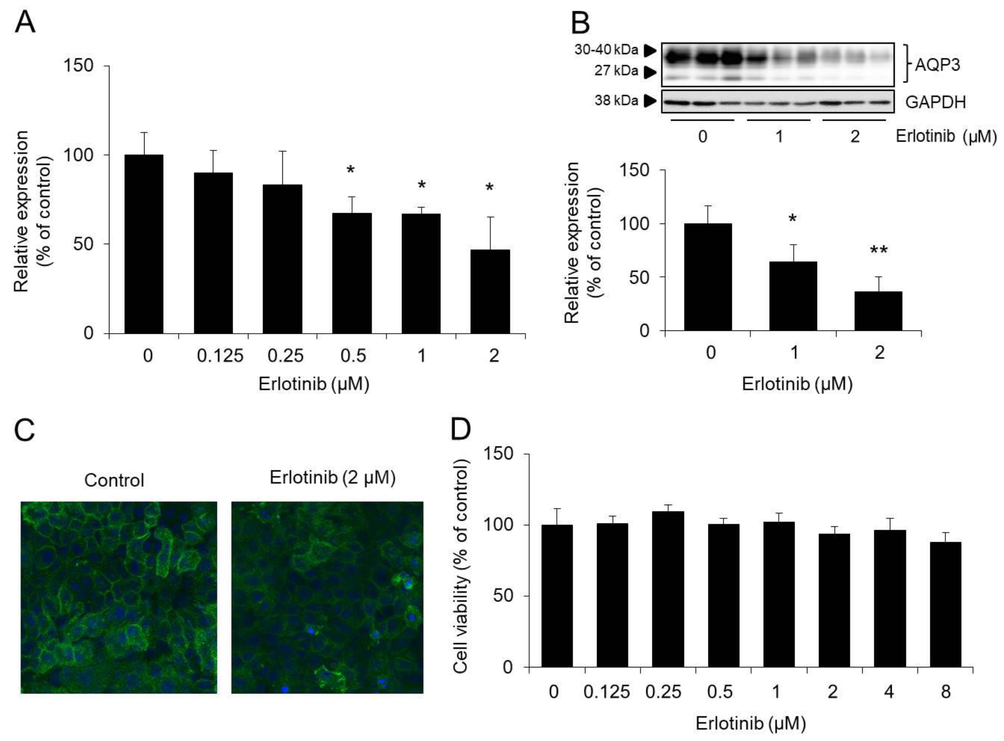 Biomolecules 10 00545 g004 Biomolecules 10 00545 g004