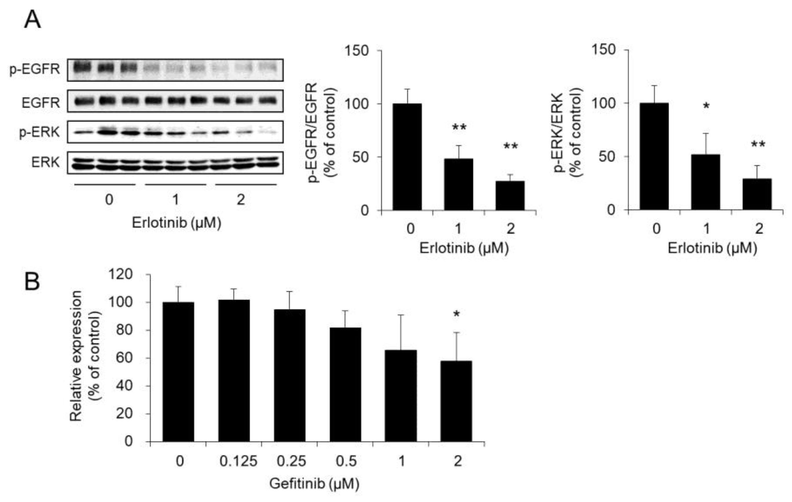 Biomolecules 10 00545 g005 Biomolecules 10 00545 g005