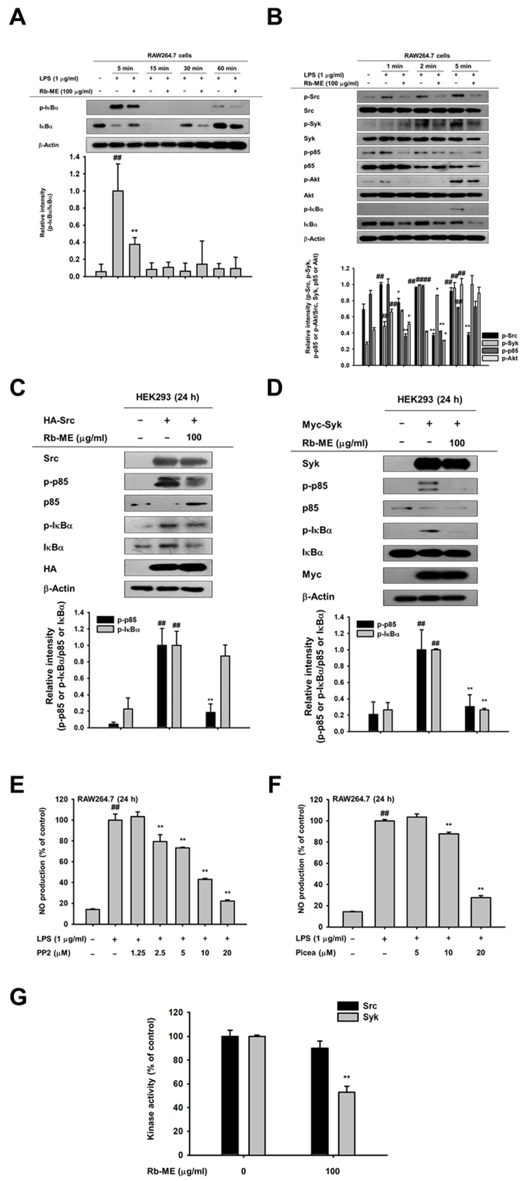 Biomolecules 10 00546 g003 Biomolecules 10 00546 g003