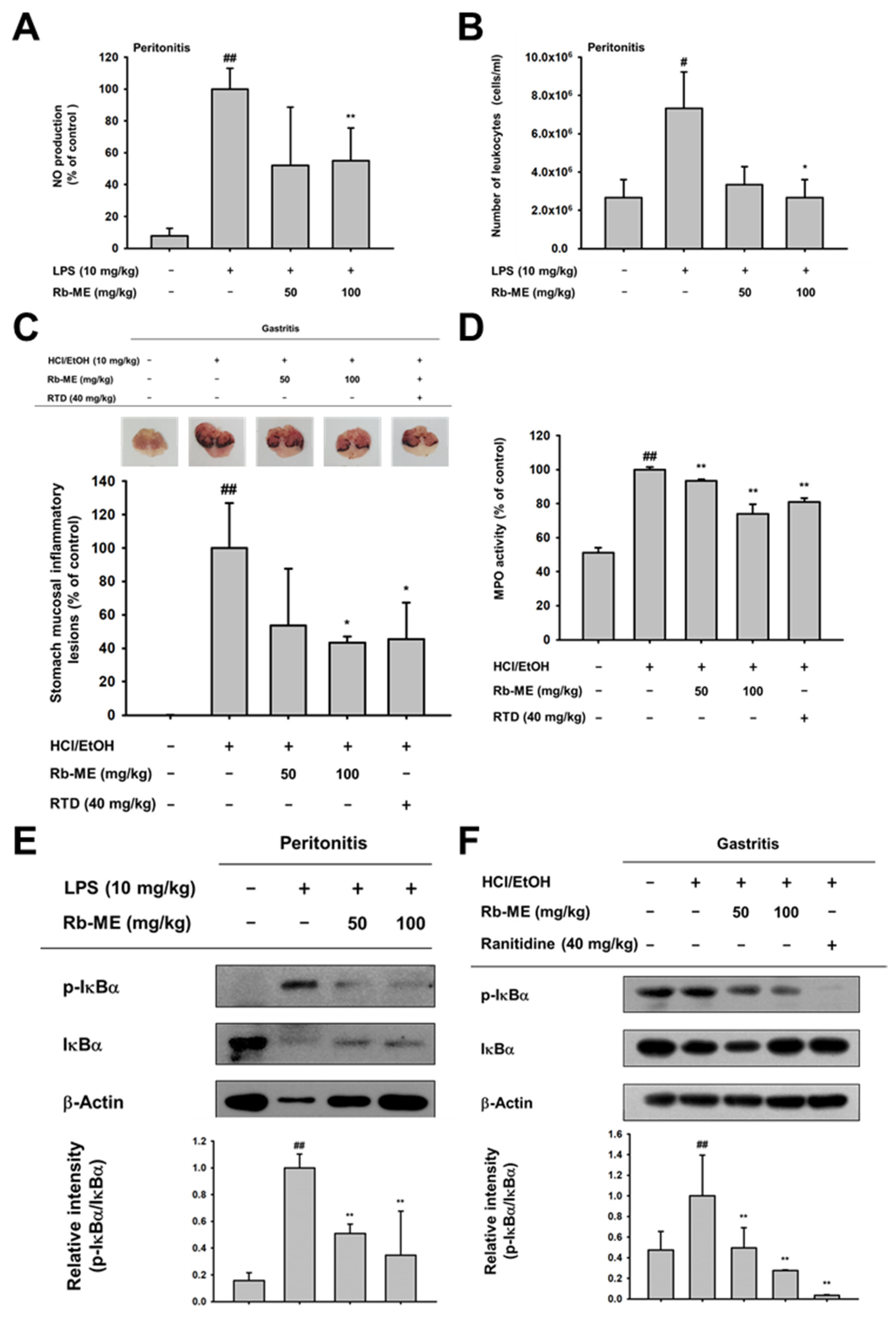 Biomolecules 10 00546 g004 Biomolecules 10 00546 g004